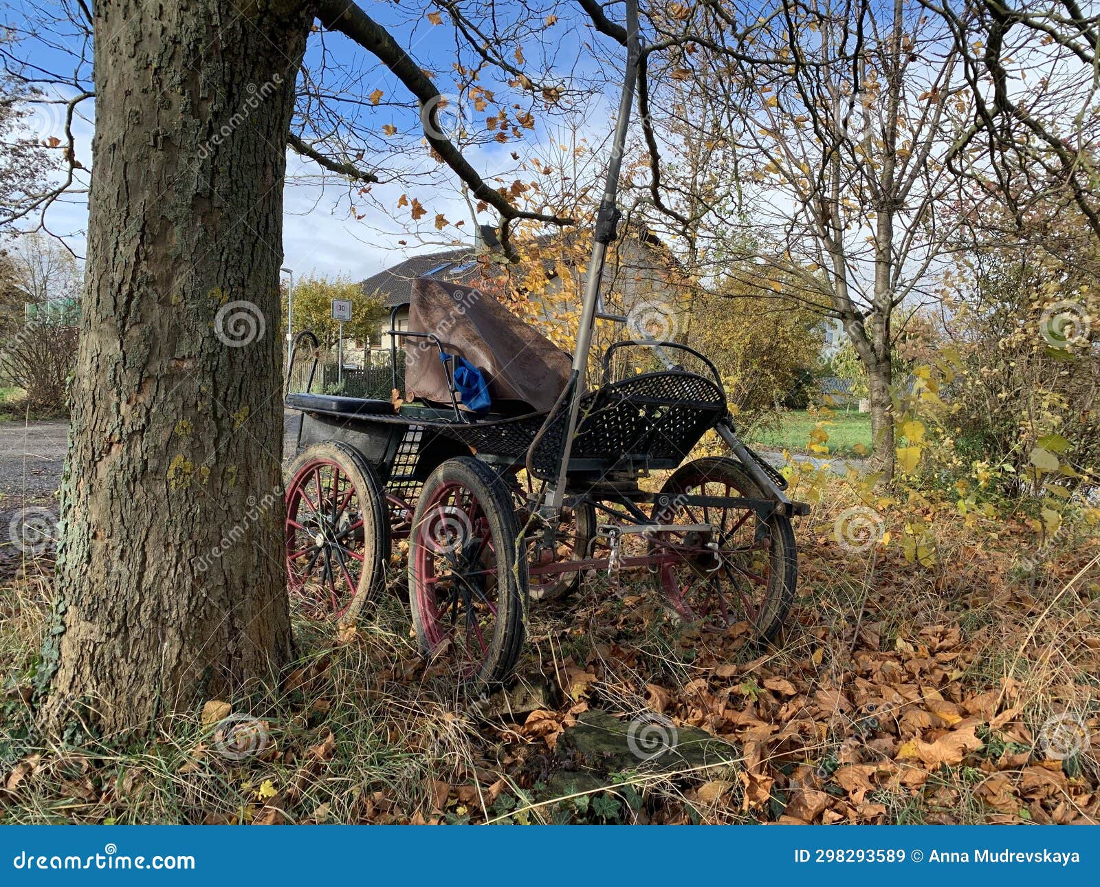 an old open single-seater four-wheeled horse-drawn carriage without a horse. a tarantass or carriage stands under a tree in autumn