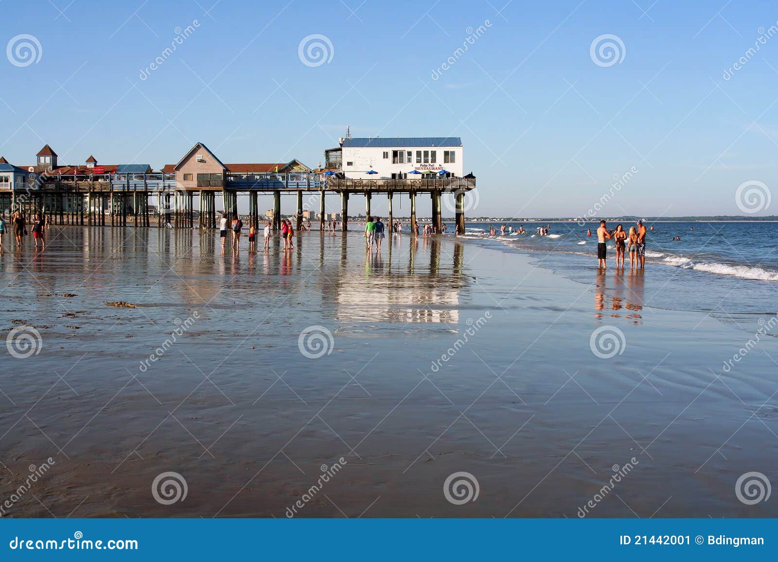 Are Dogs Allowed On Old Orchard Beach