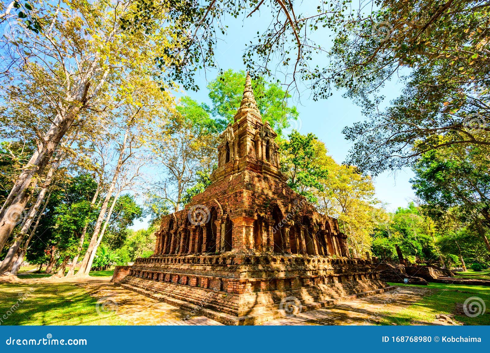 old pagoda with teak trees in pa sak temple