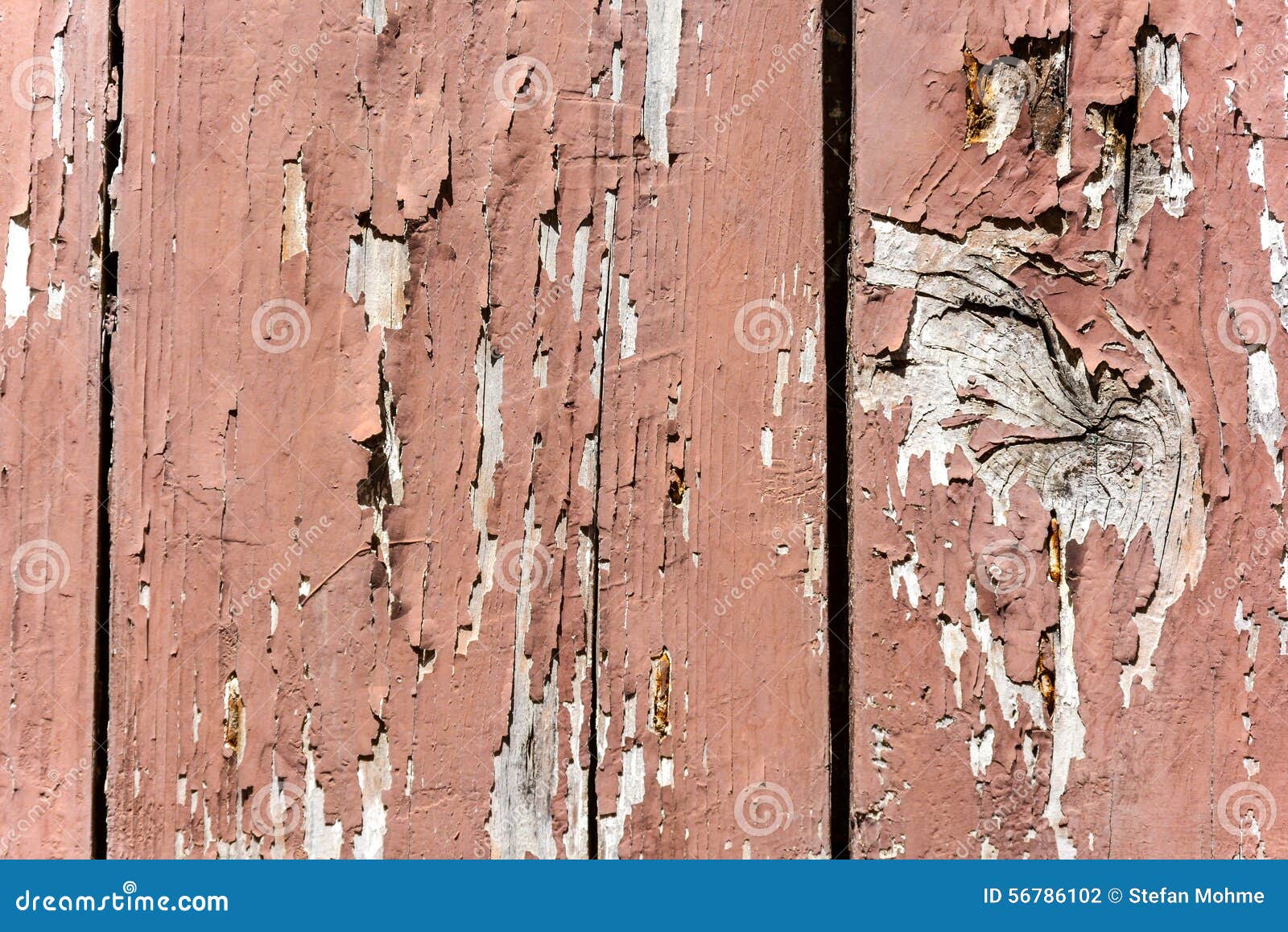 Old Paint stock photo. Image of natural, exterior, barn 56786102