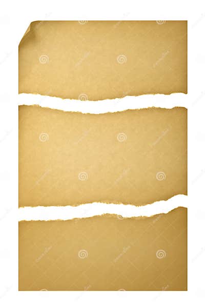 Old Paper Torn into Three Pieces Stock Photo - Image of parchment ...