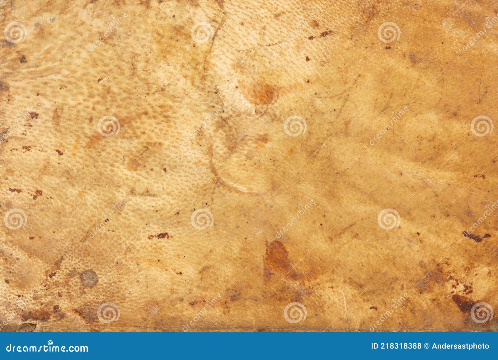 Old Parchment Lamb Skin Photos Free & RoyaltyFree Stock Photos from