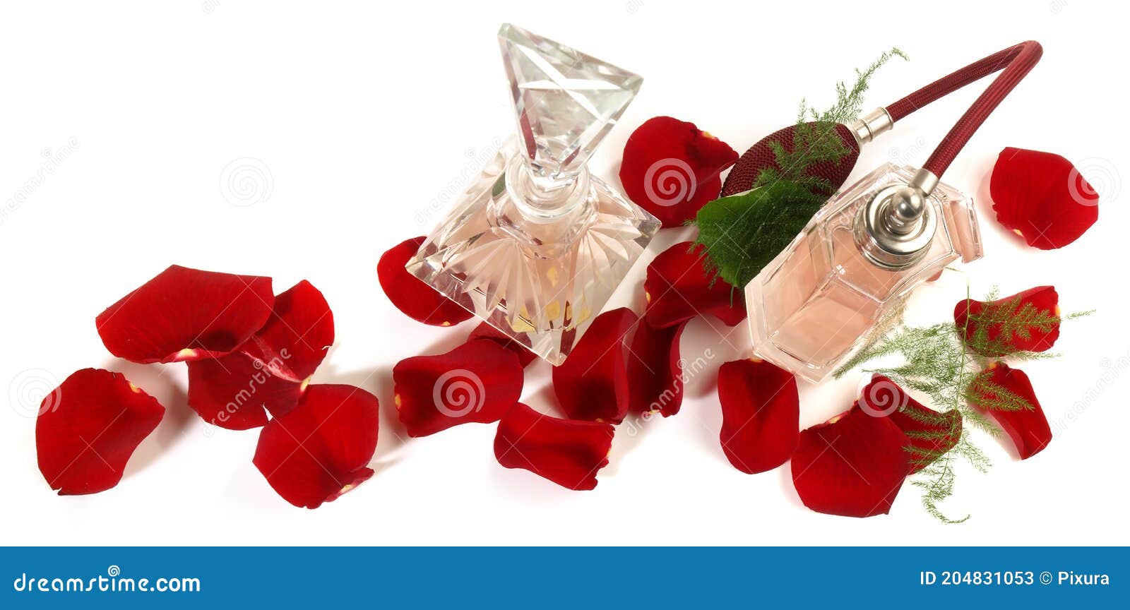 Perfume Bottle Present with Rose Petals Panorama Isolated on White