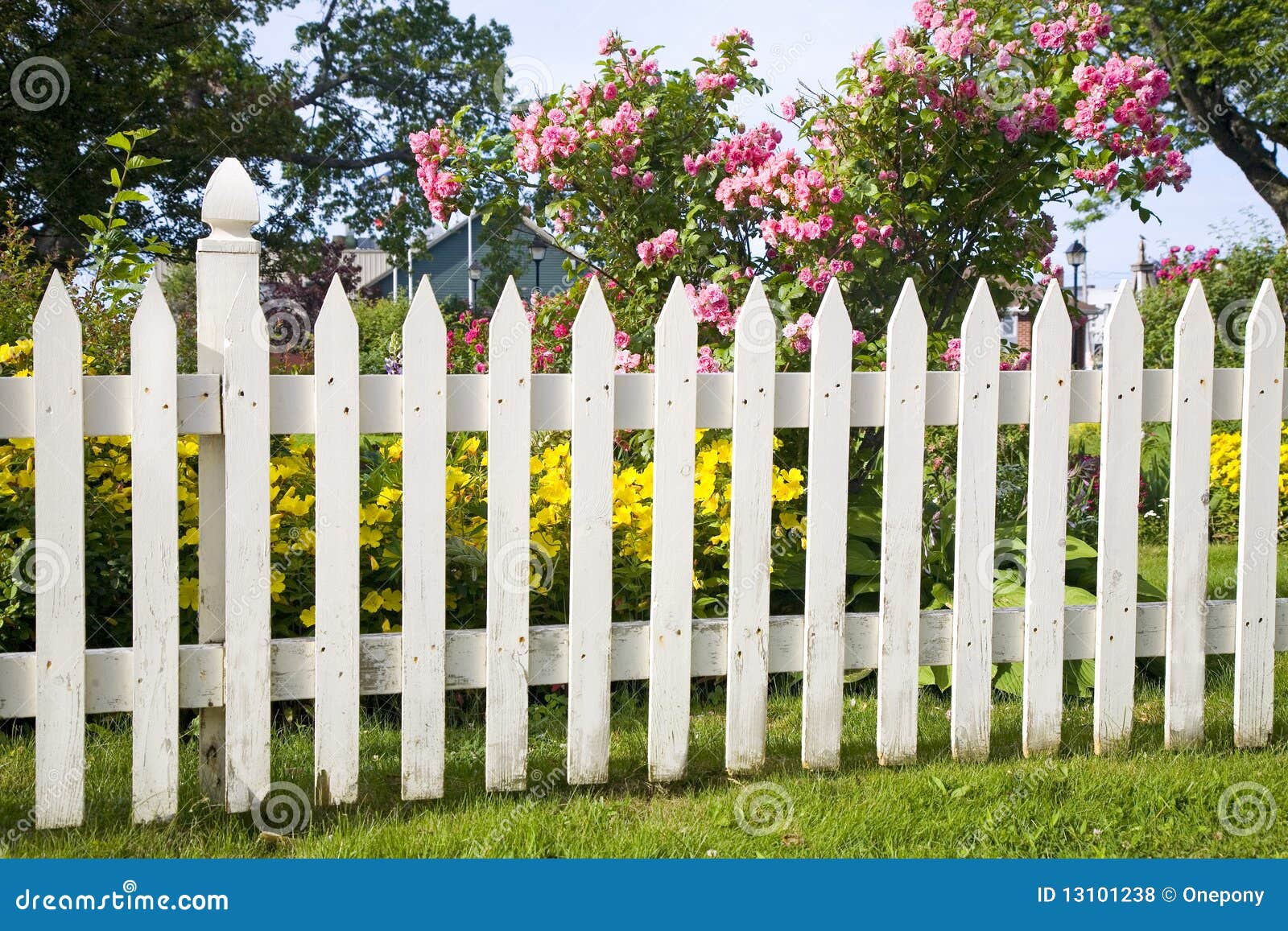 Old Picket Fence stock photo. Image of security, property 13101238