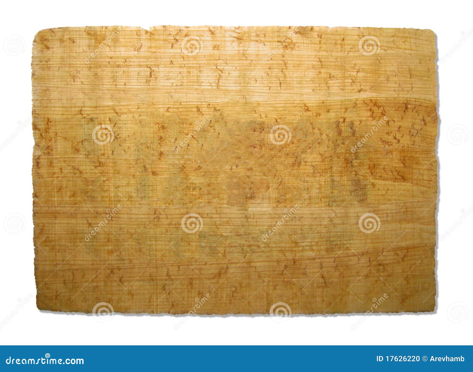 old piece of papyrus texture