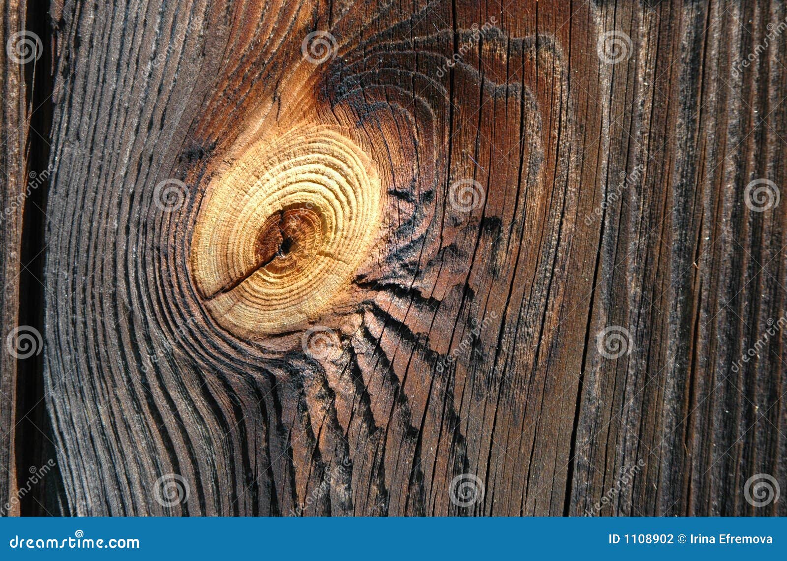 Old Pine Plank Picture. Image 1108902