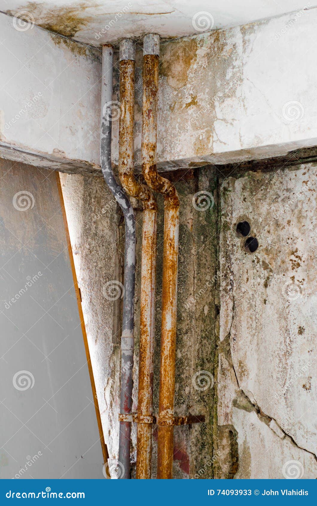 Old pipe fungal mold wall stock image. Image of climate 74093933