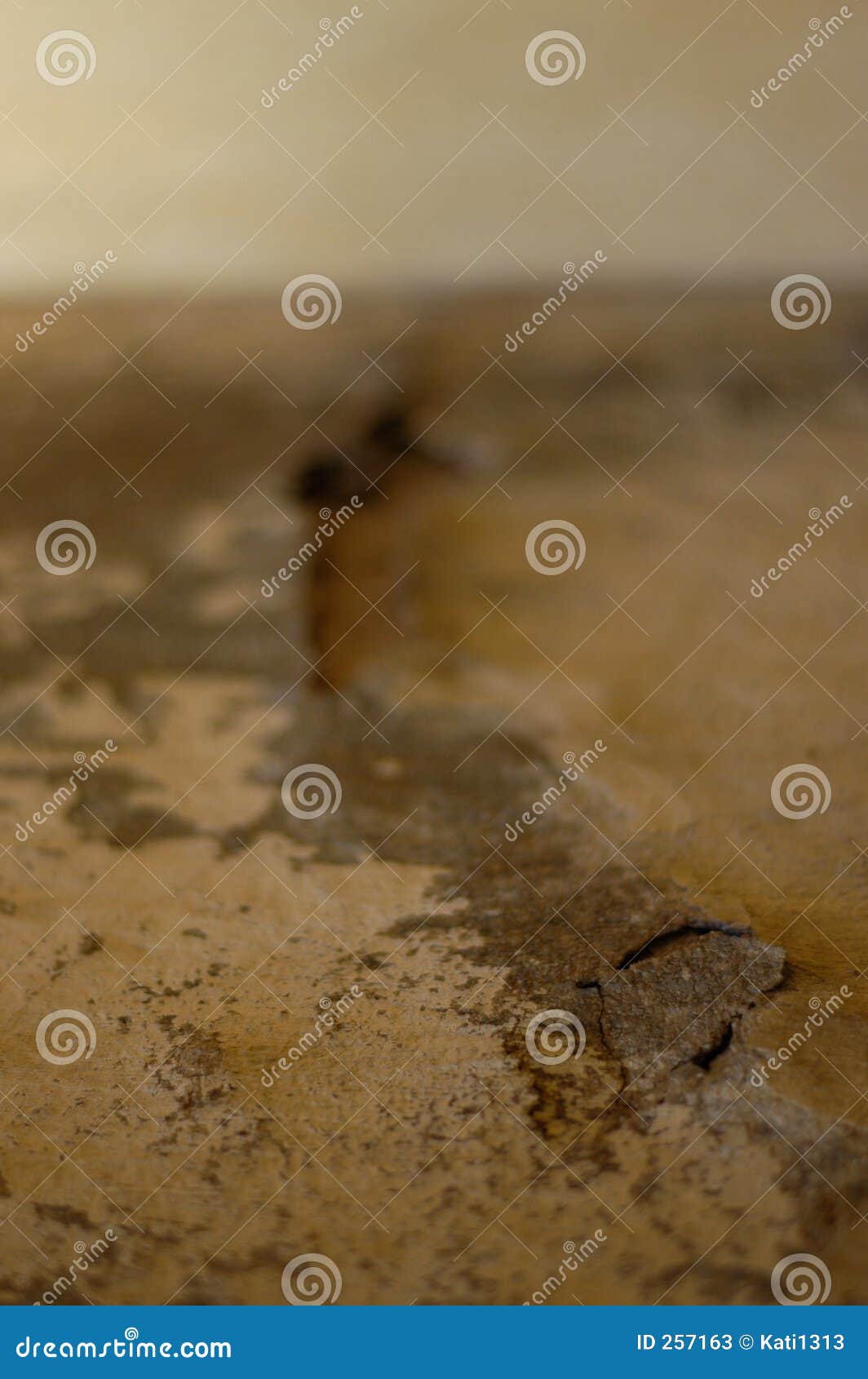 old plaster