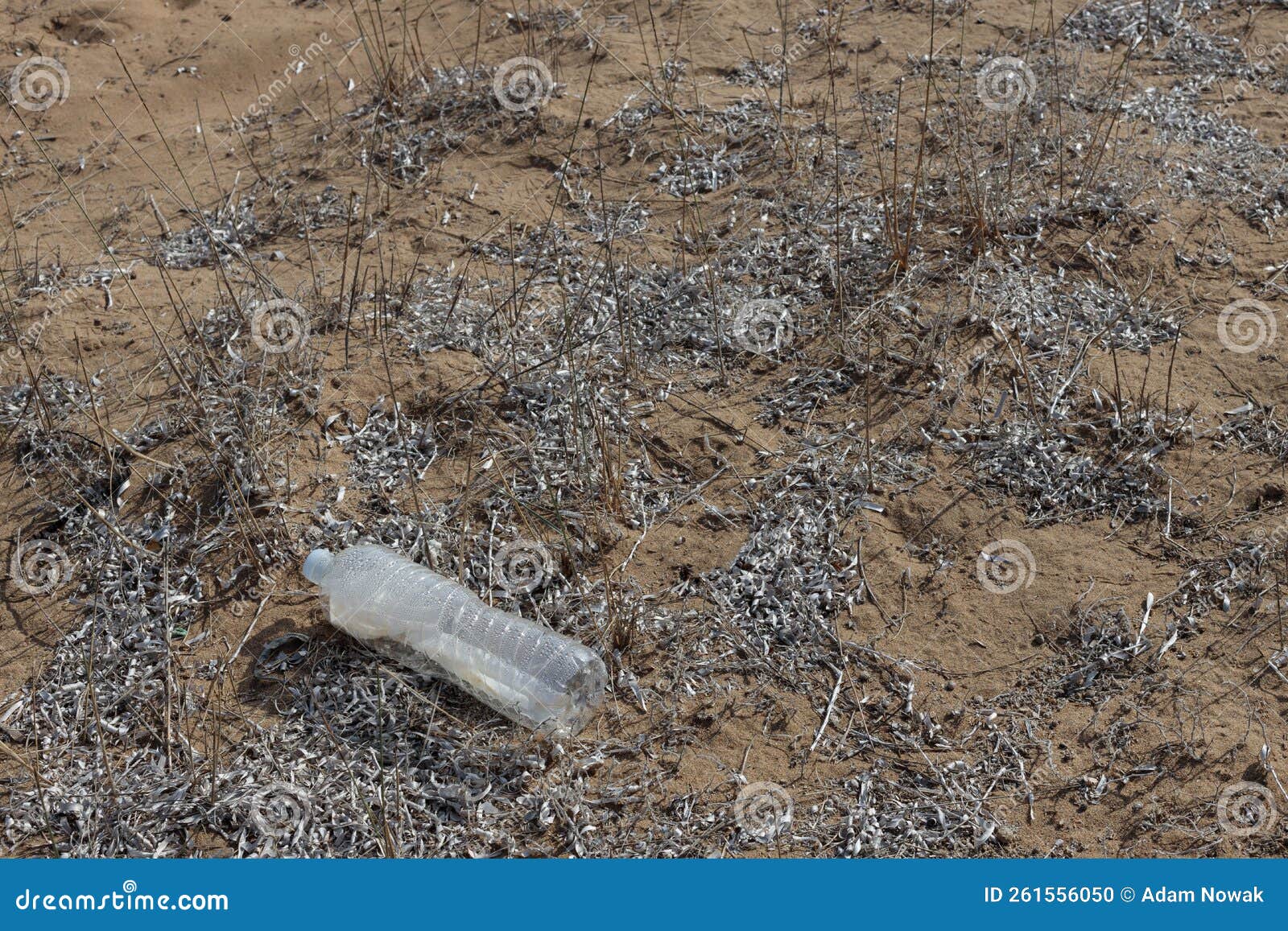 Old Plastic Bottle is on the Beach Leave by Tourist Stock Photo - Image ...