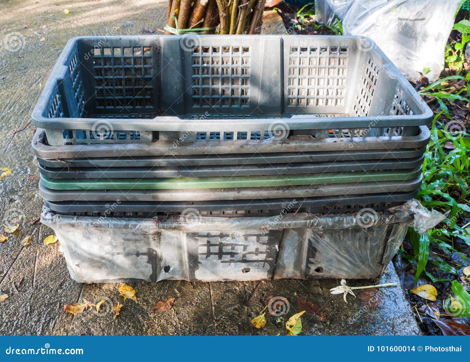 The Old Plastic Boxes on Concrete Floor Stock Photo Image of grow