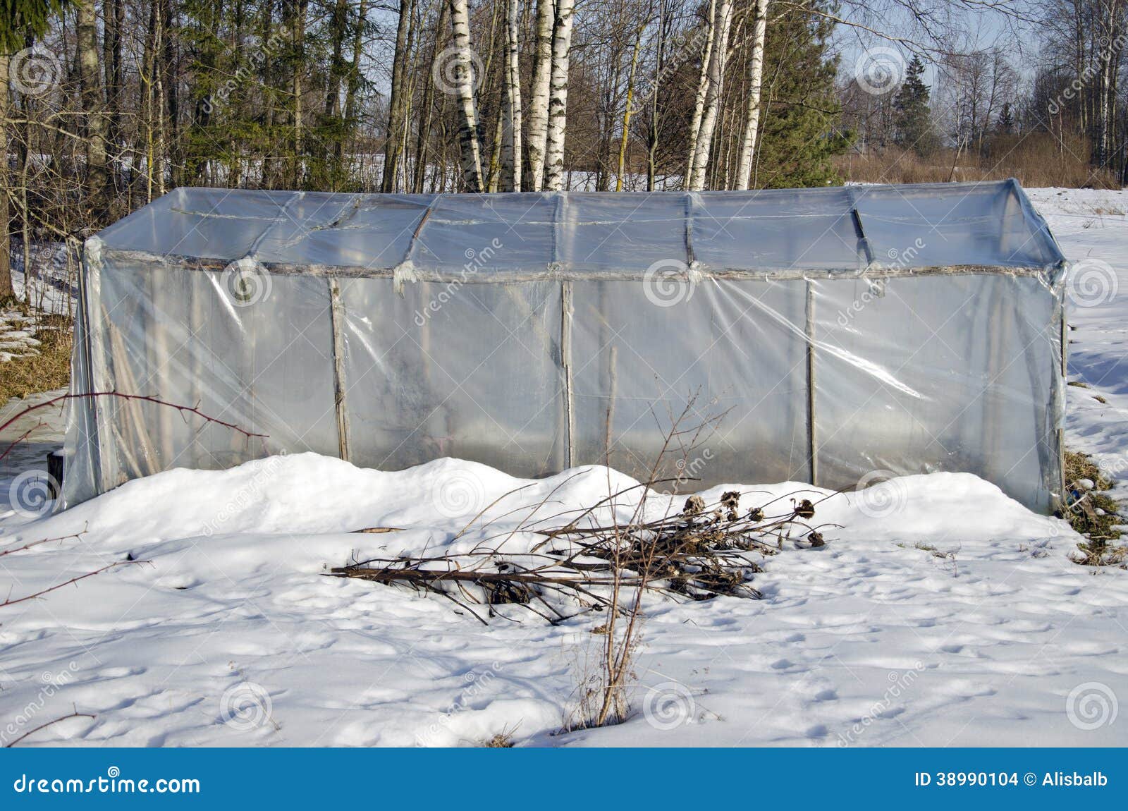 Old Plastic Greenhouse in Winter Time Stock Photo Image of frozen