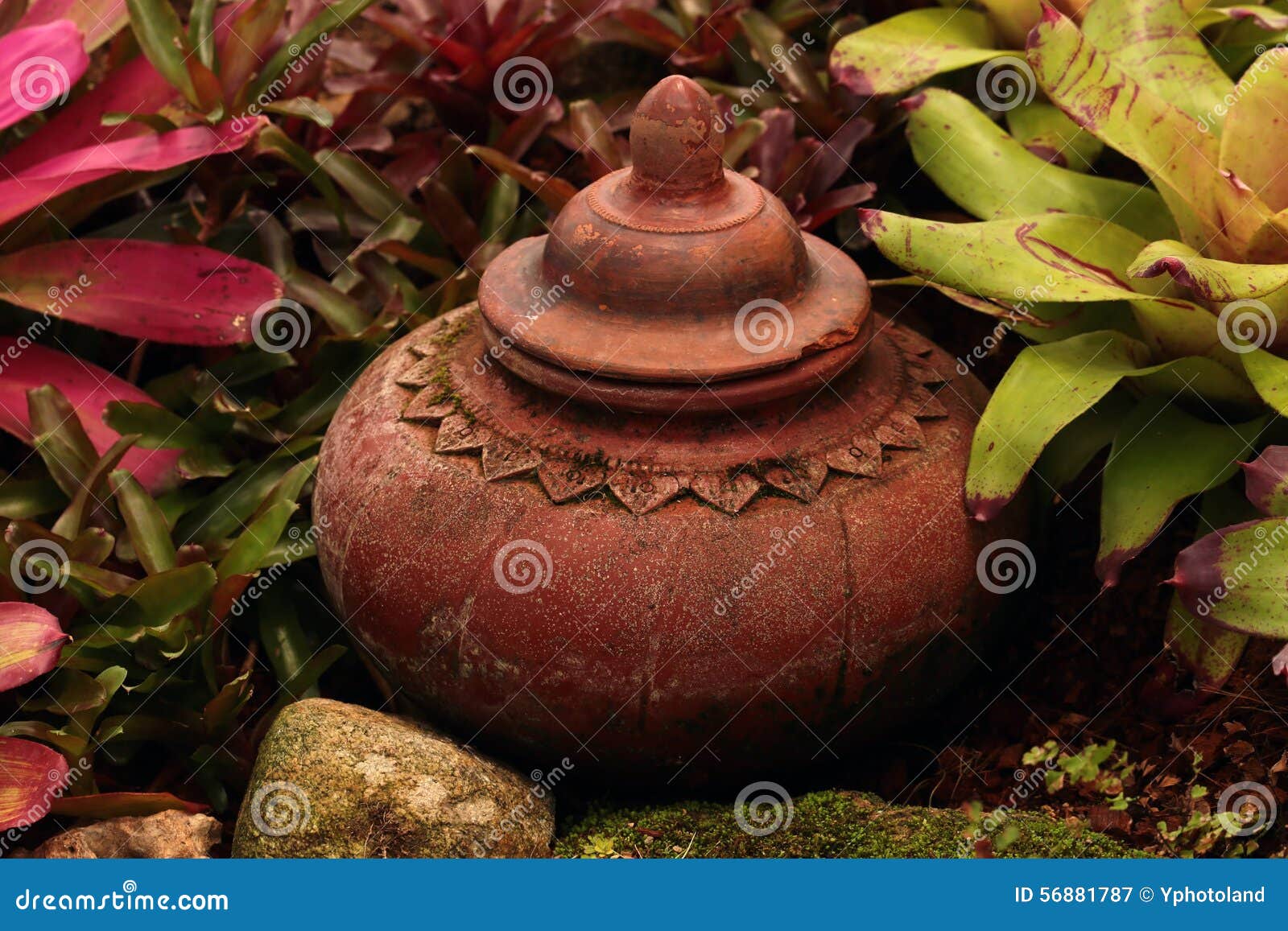 Old pot stock image. Image of flower, plant, garden, vintage 56881787