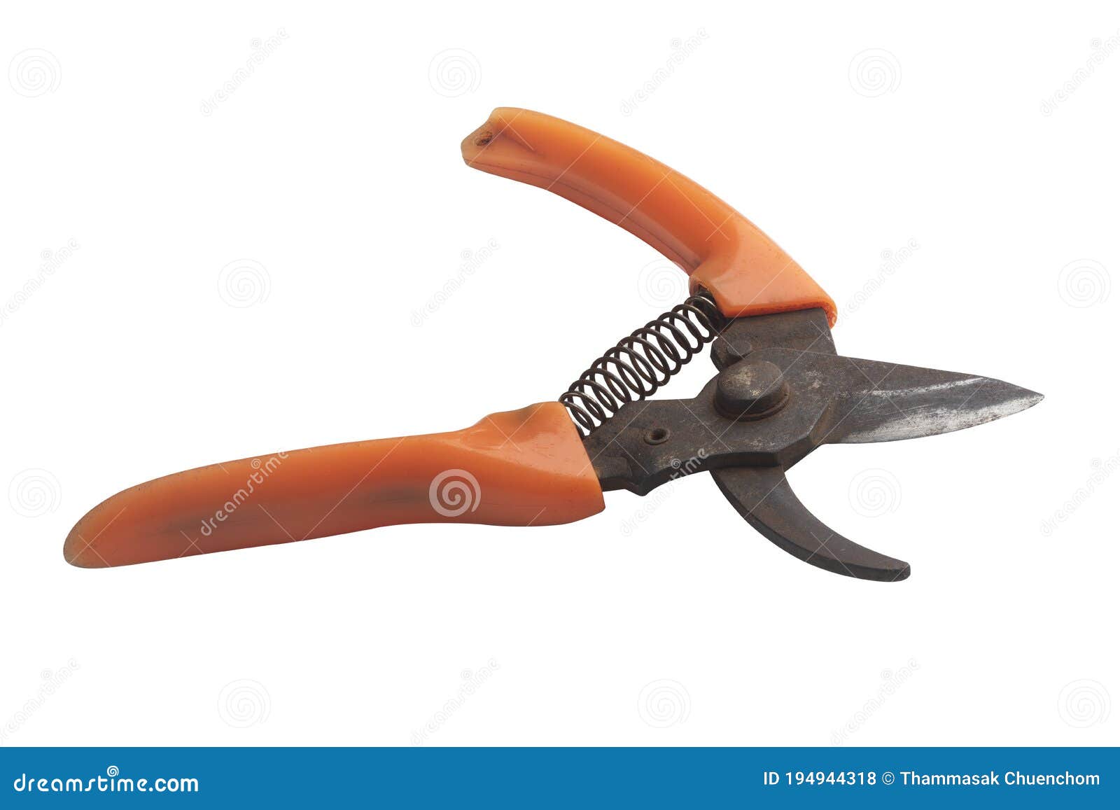 old pruning shears   on white background