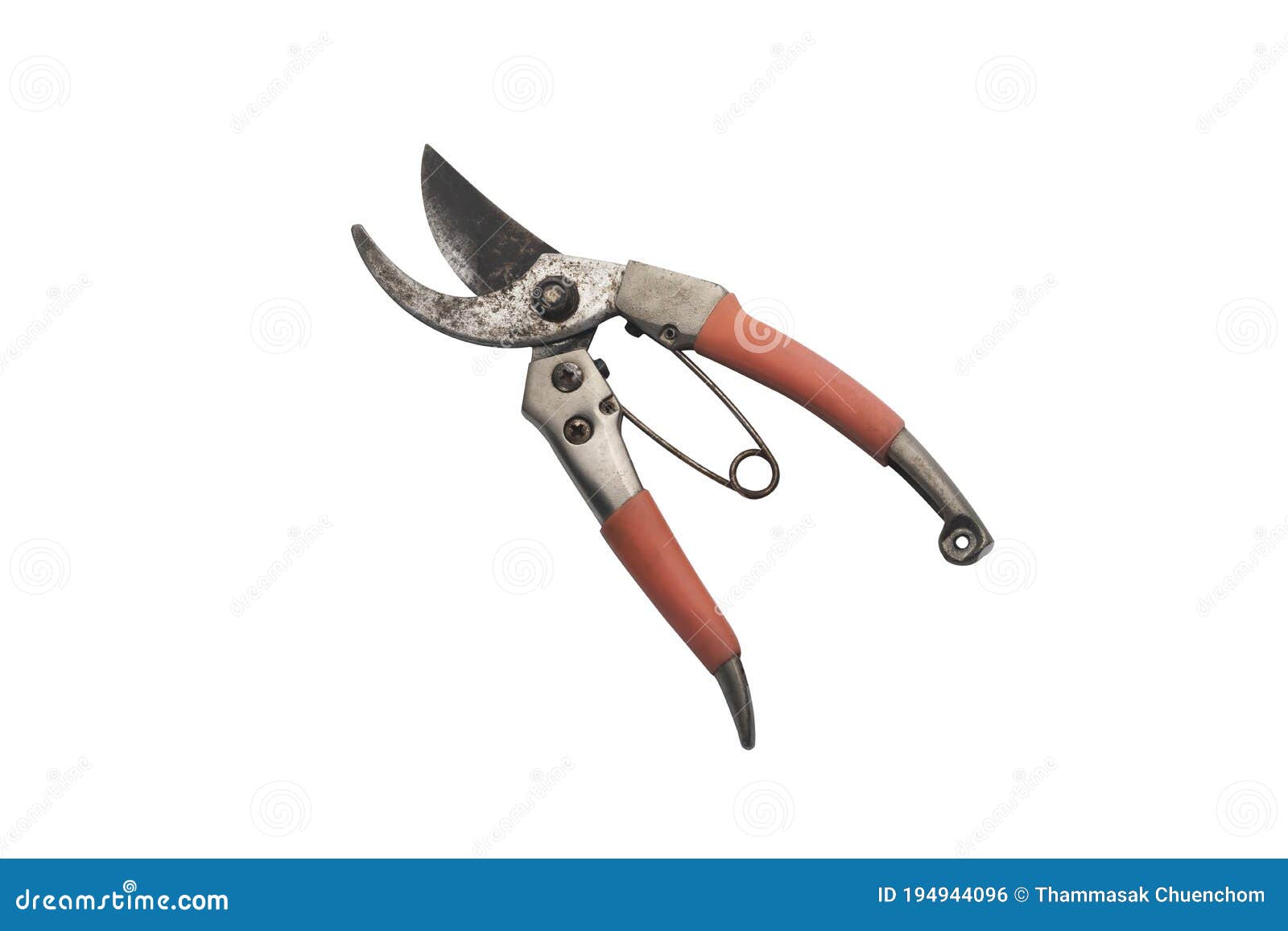 old pruning shears   on white background
