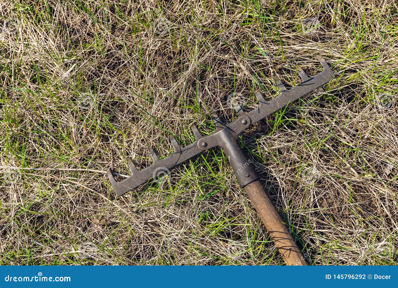 Old rake lying on grass stock photo. Image of spring 145796292