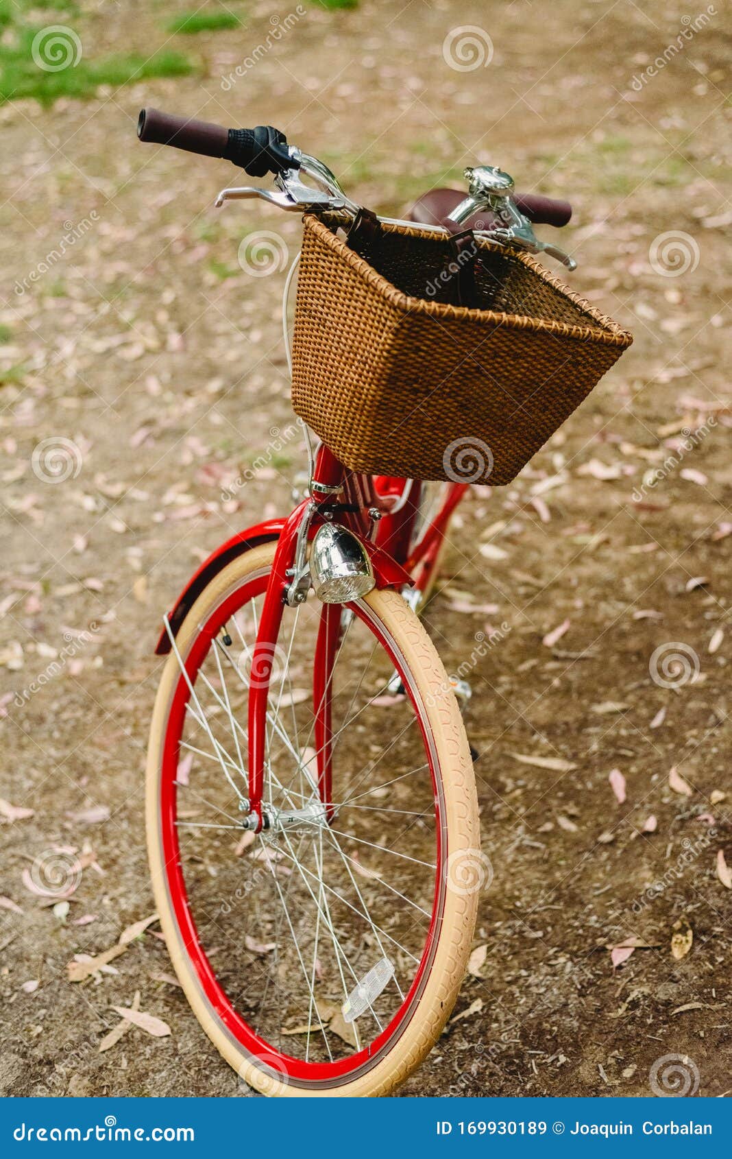 Old Red Vintage Bicycle Basket Stock Image Image of cycle, green 169930189