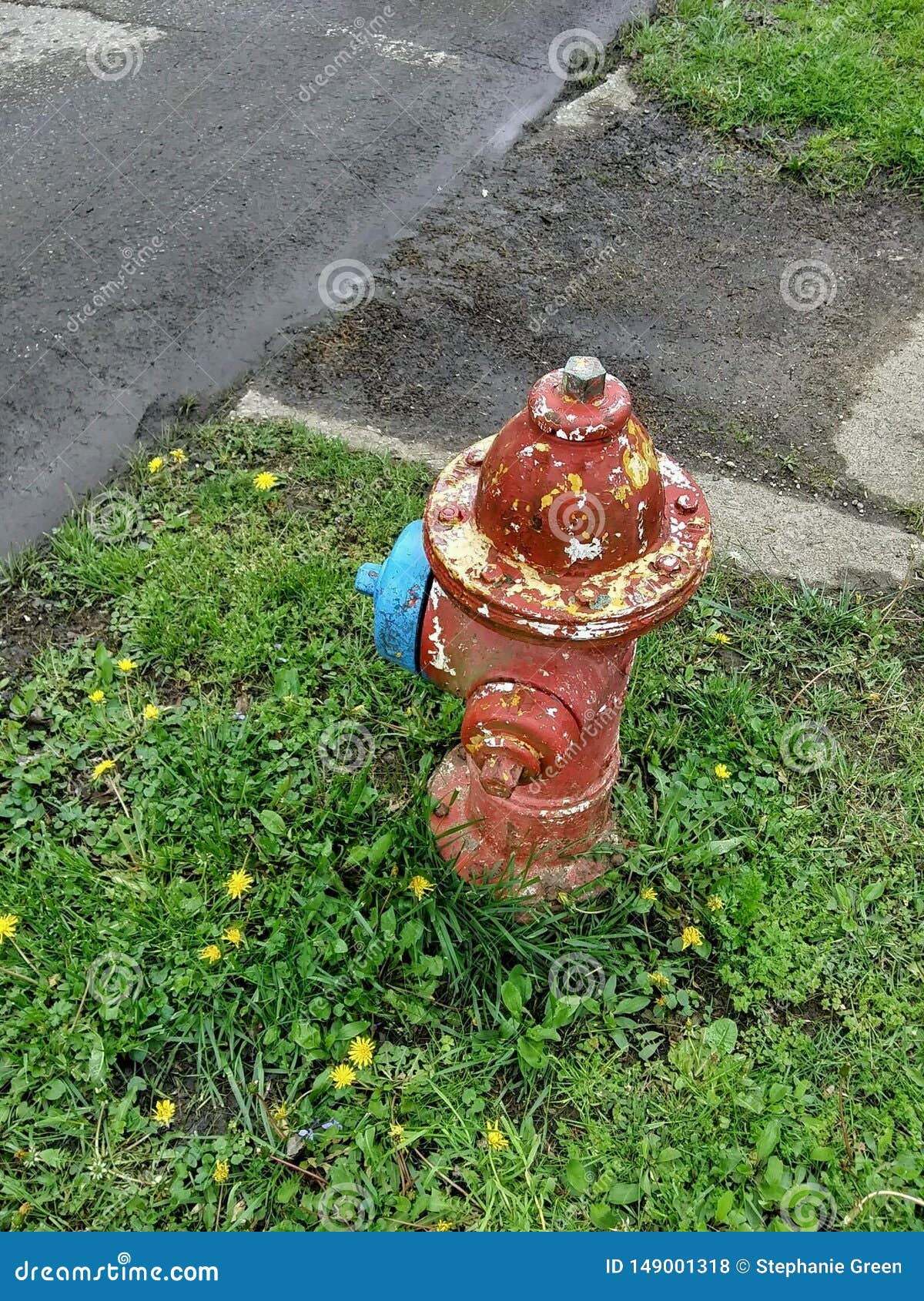 Old Red Yellow Blue Fire Hydrant Antique Stock Photo Image of hydrant