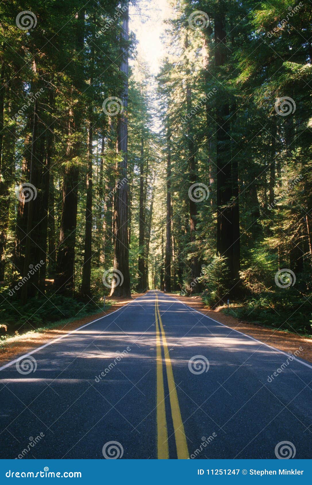 Old Redwood Highway stock image. Image of highways, travel 11251247