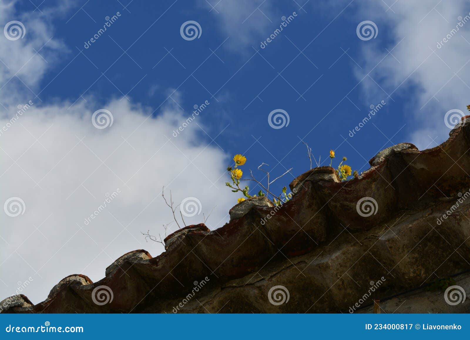 old roof on the sky background. flowers on the sky background.