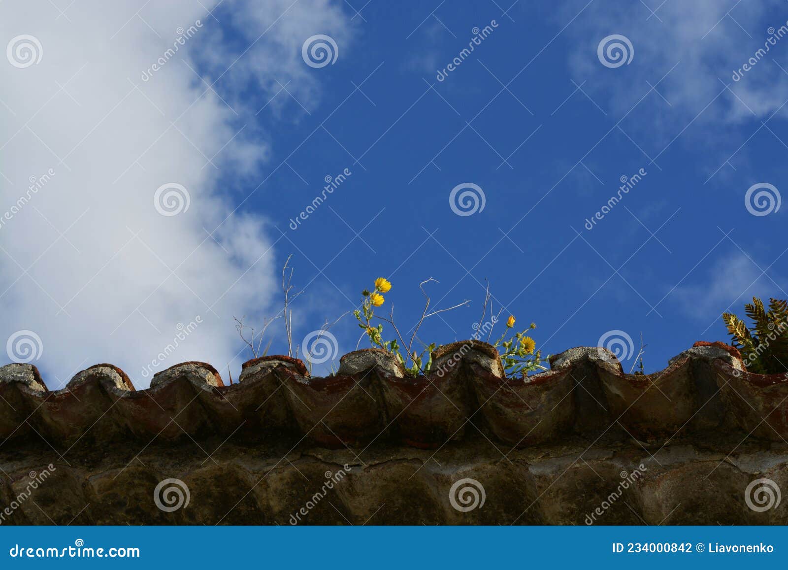 old roof on the sky background. flowers on the sky background.
