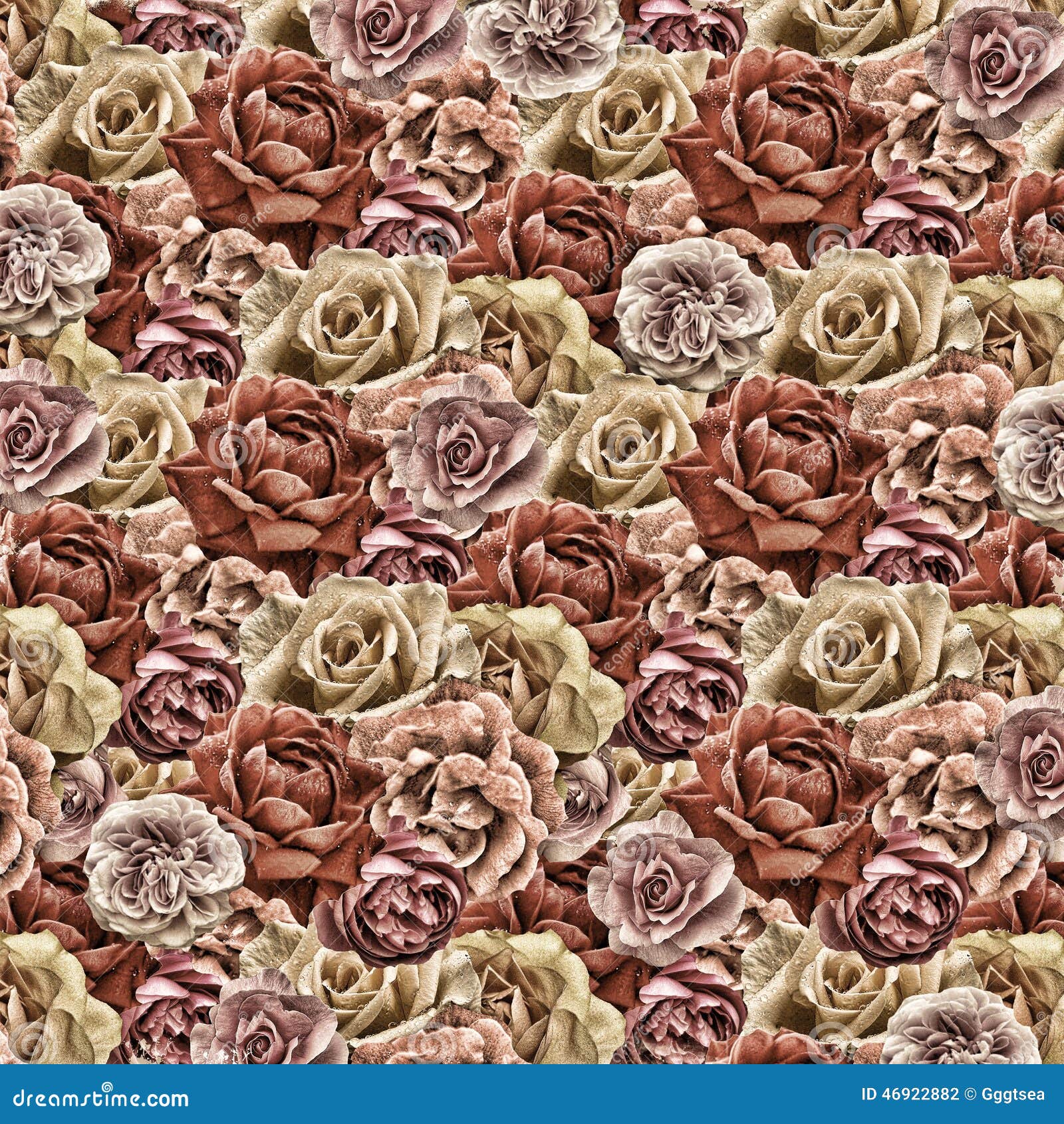Old roses paper wallpaper stock photo. Image of graphic - 46922882