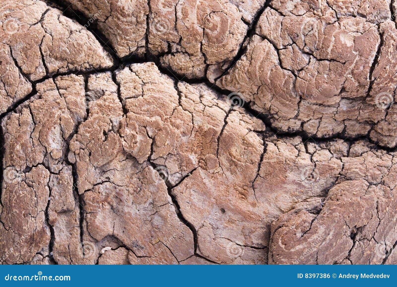 Old, rotten wood stock photo. Image of hardwood, design 8397386