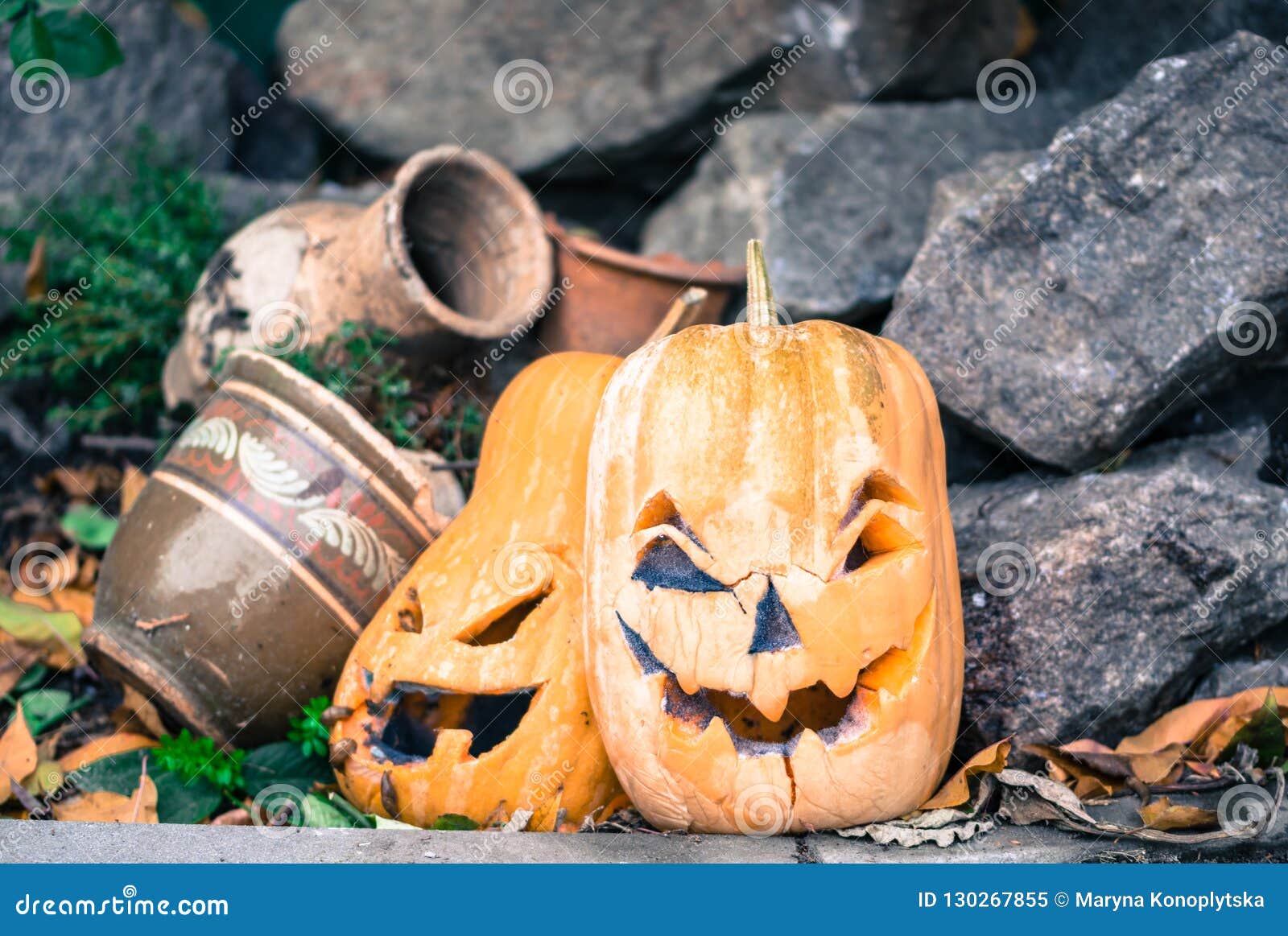 Old Rotting Yellow Pumpkin Traditional Halloween