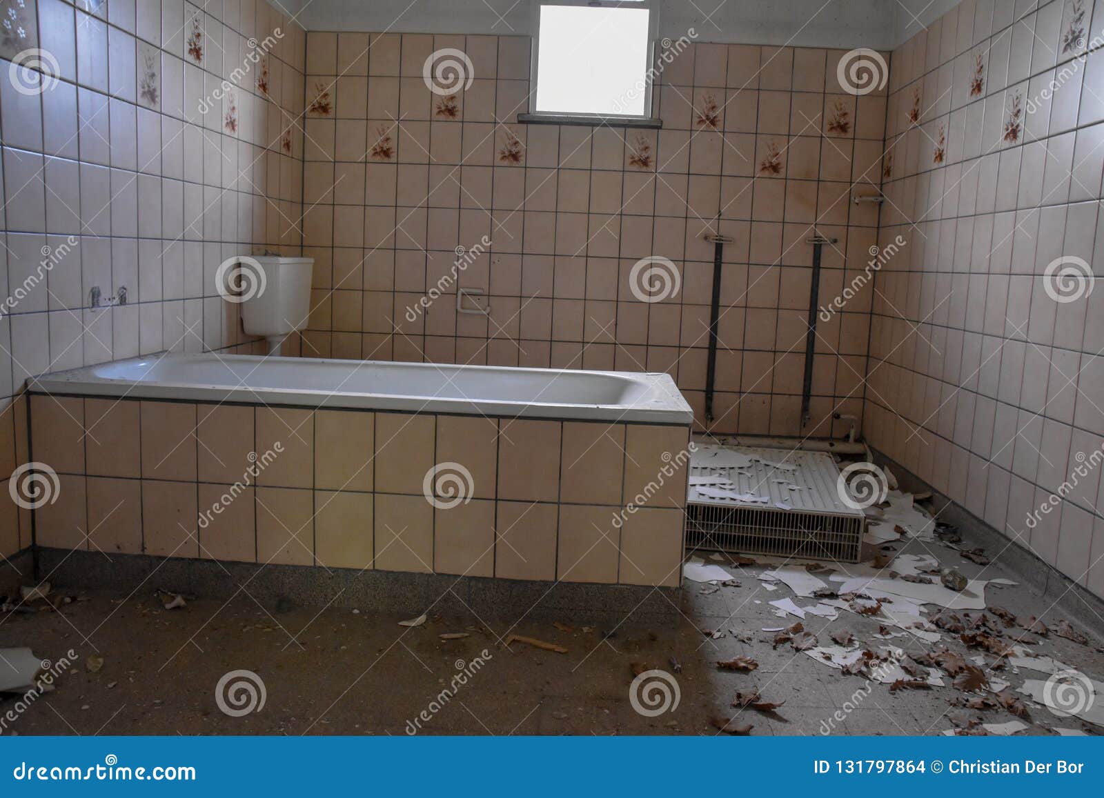 Old destroyed bathroom stock photo. Image of summer 131797864