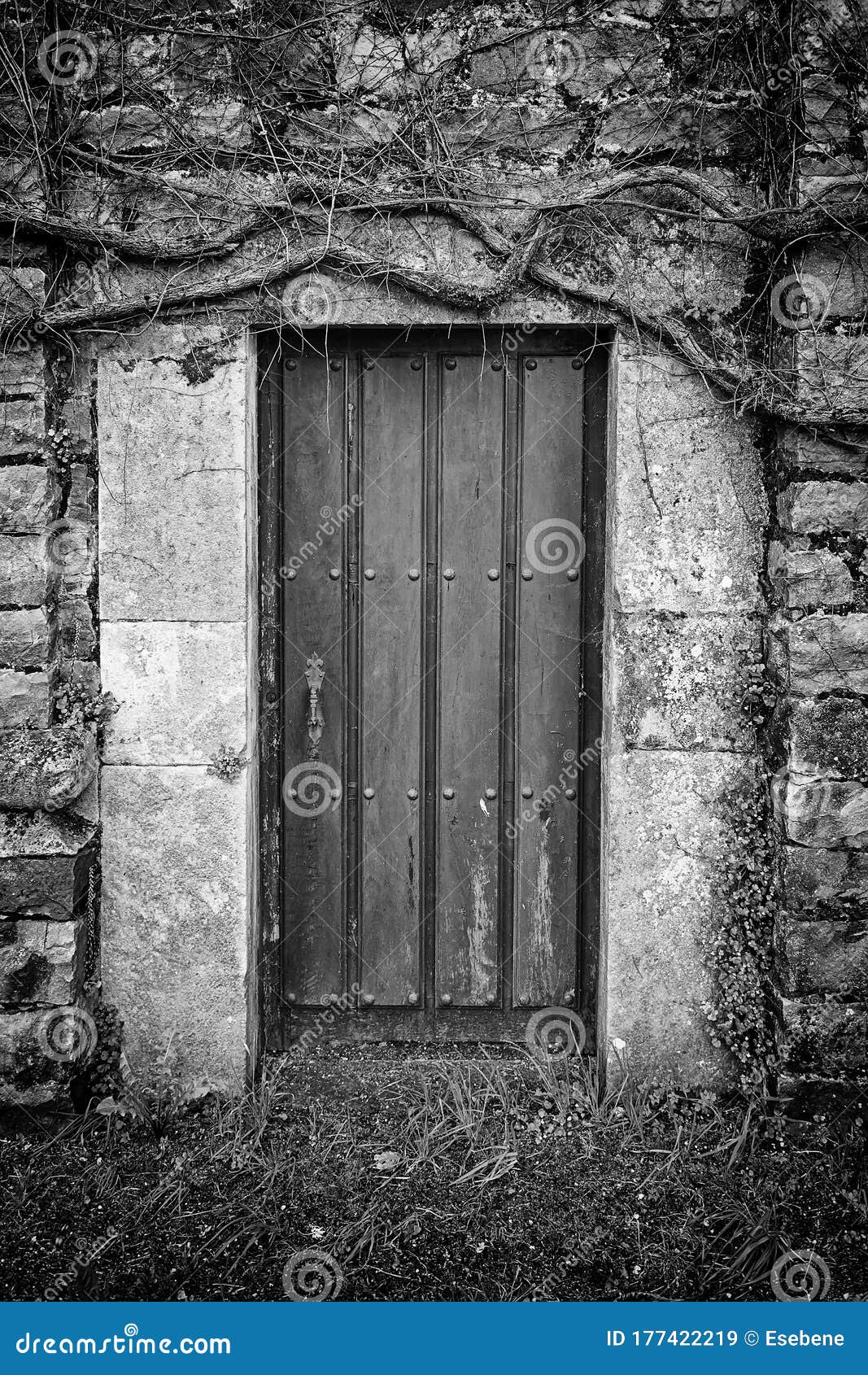 Old rural door stock image. Image of dirty, wooden, doorway - 177422219