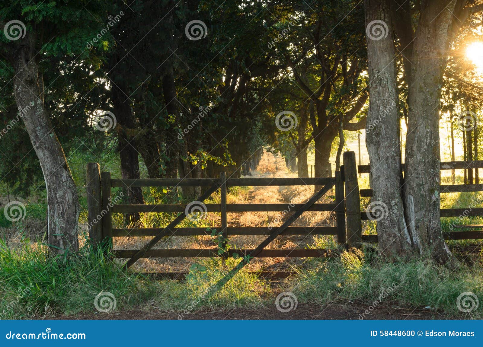 Old rustic farm gate stock photo. Image of farm, country 58448600