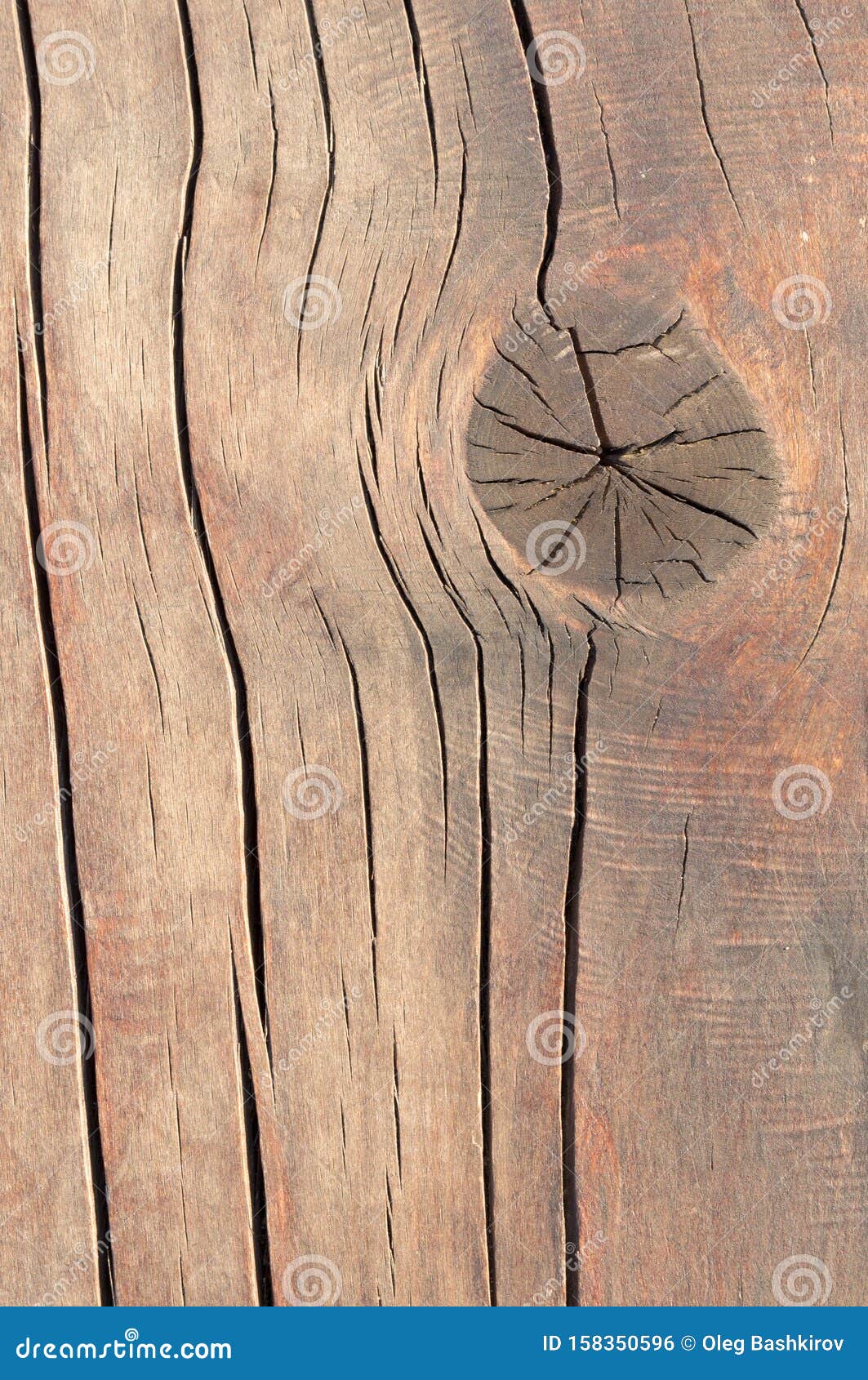 Old Rustic Wood Background Old Wood With Mold Or Fungal