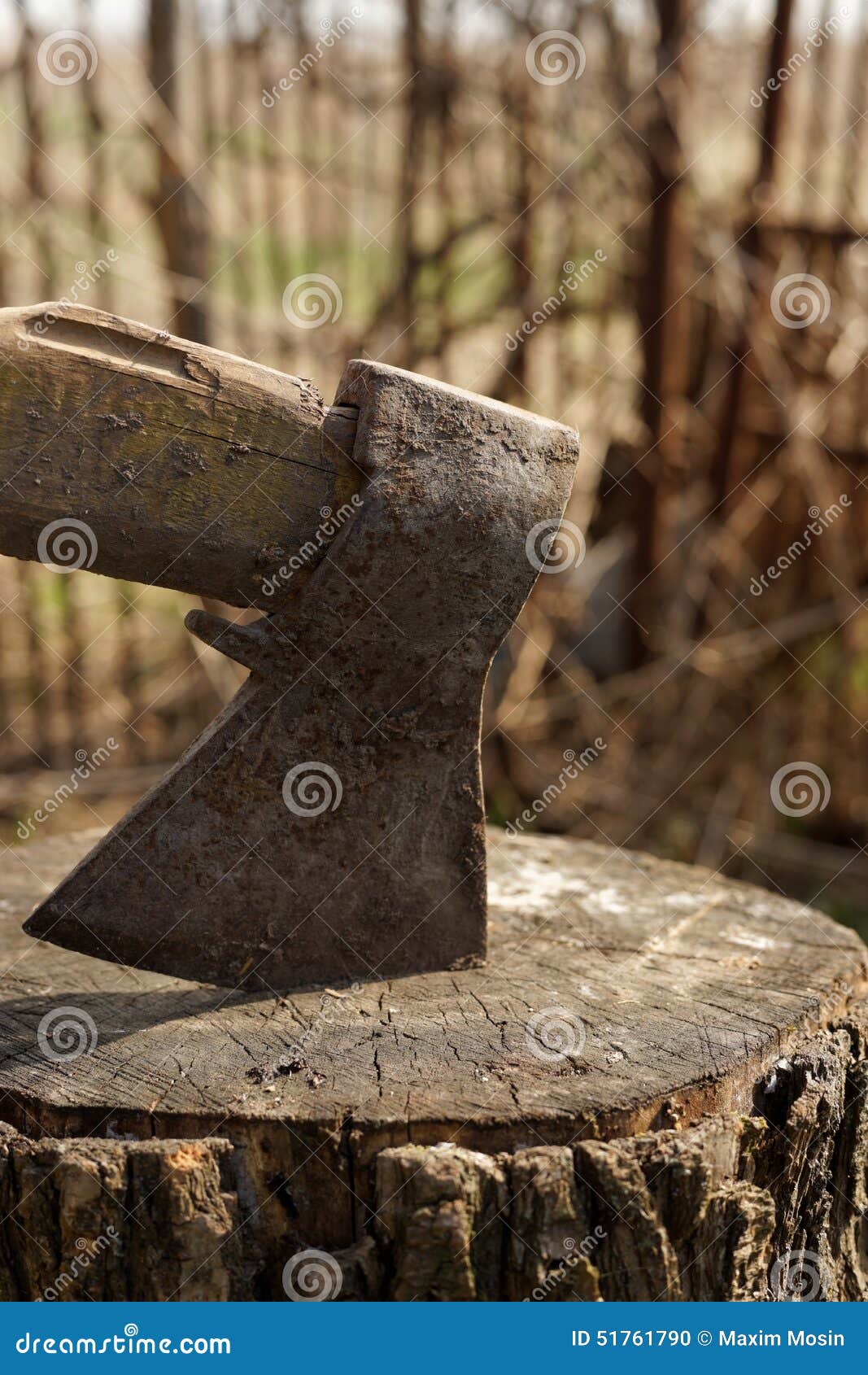 Old rusty axe. stock photo. Image of fracture, nature 51761790