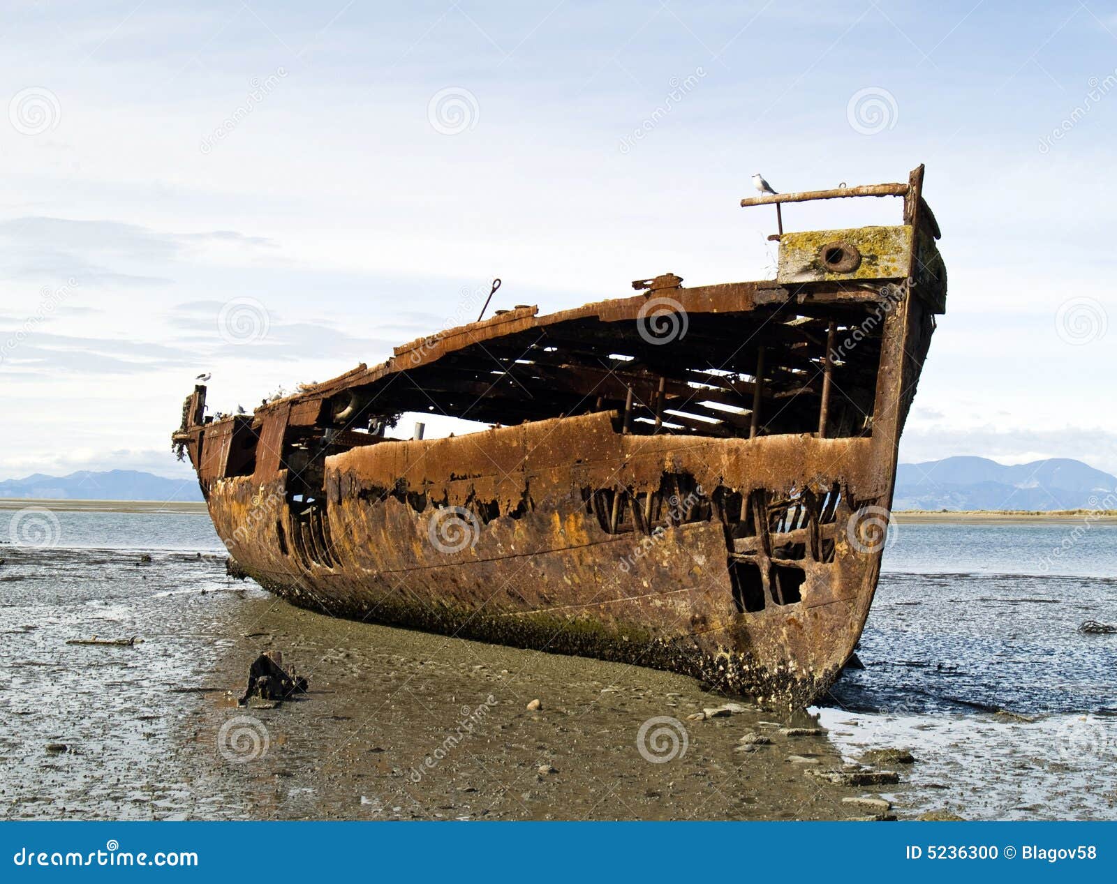 Old Rusty Hulk Of Jannie Seddon On The Beach Stock Photo ...