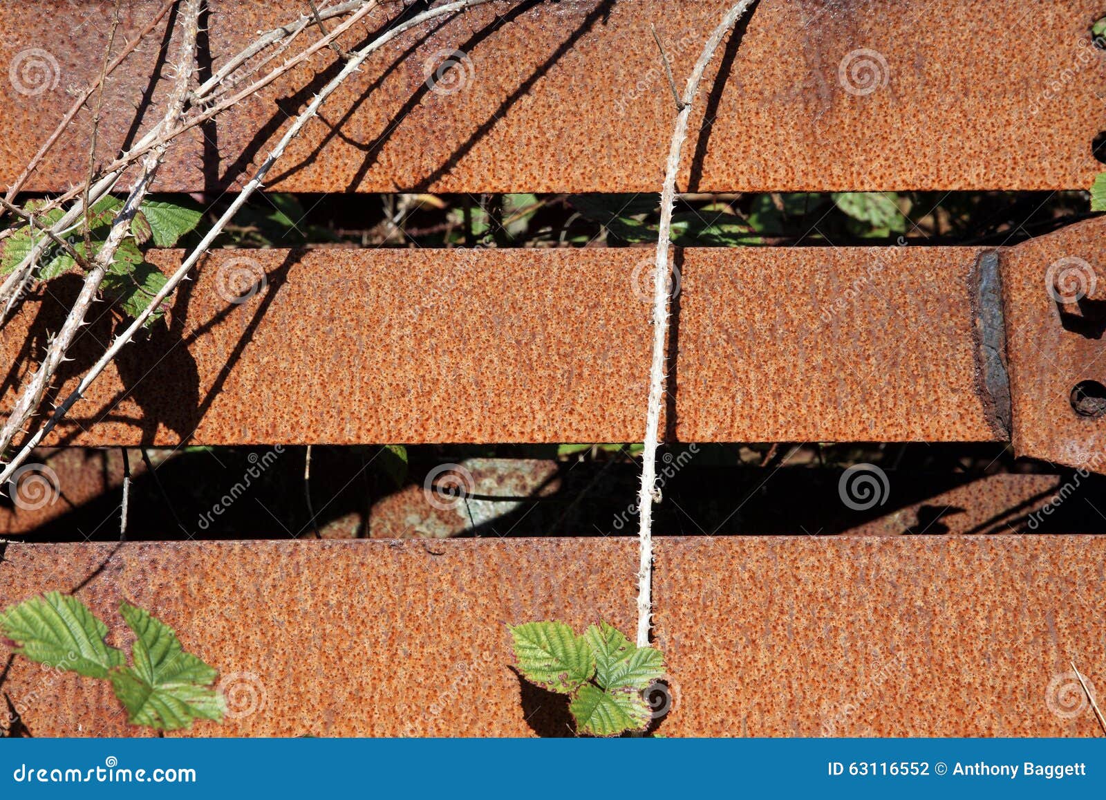 Old Rusty Iron Fence Panel Background Stock Photo Image of industrial