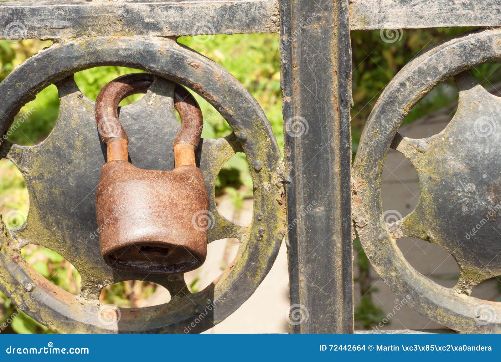 Old Rusty Lock on a Metal Gate into the Garden. Lock on the Iron Gate ...