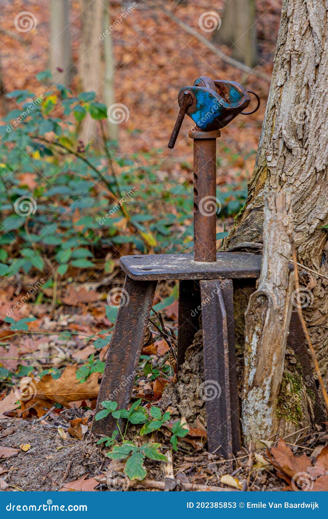 old and rusty metal post with a base next to a tree trunk in the meinweg nature reserve