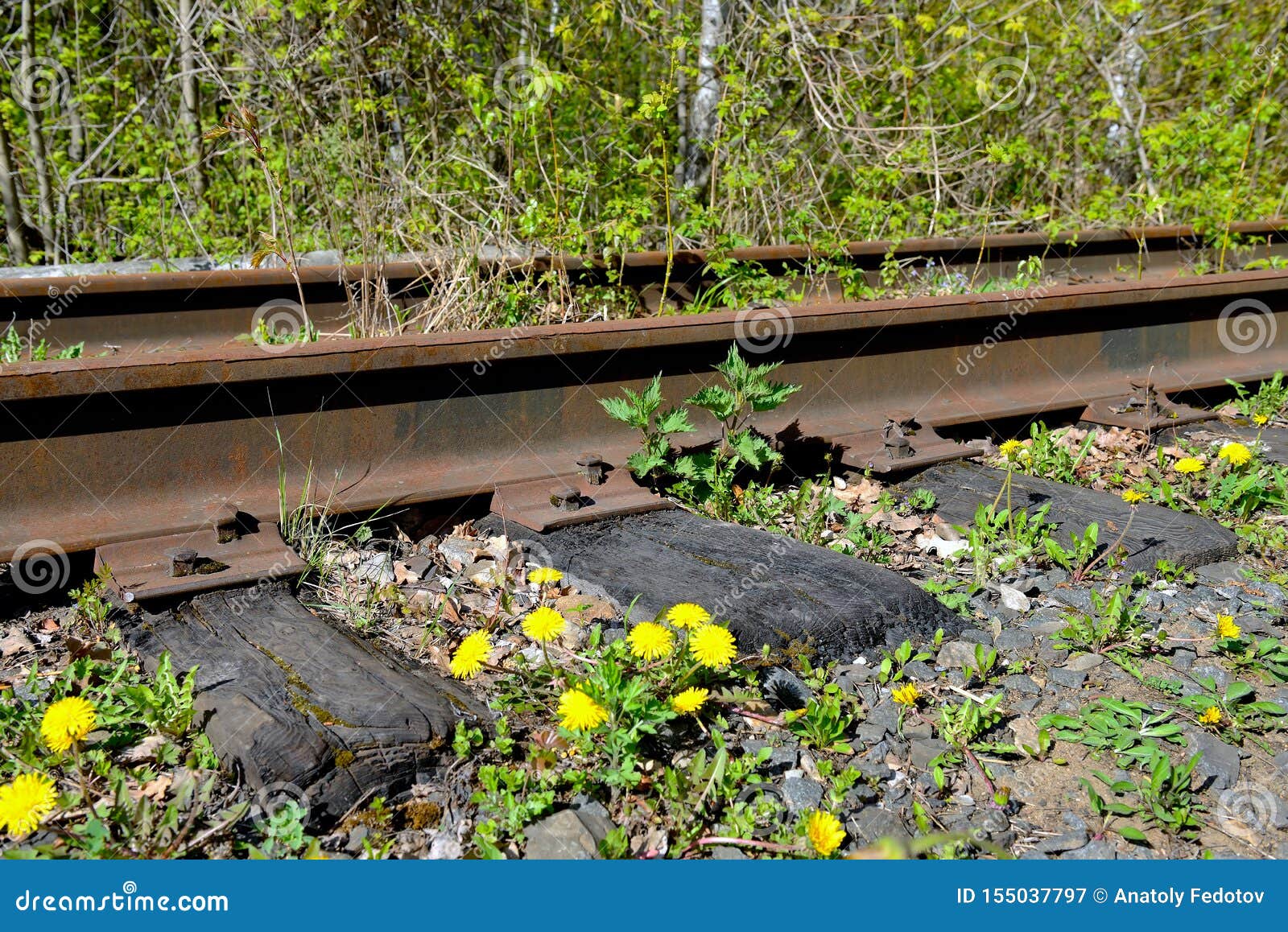 rusty rail rusty rail