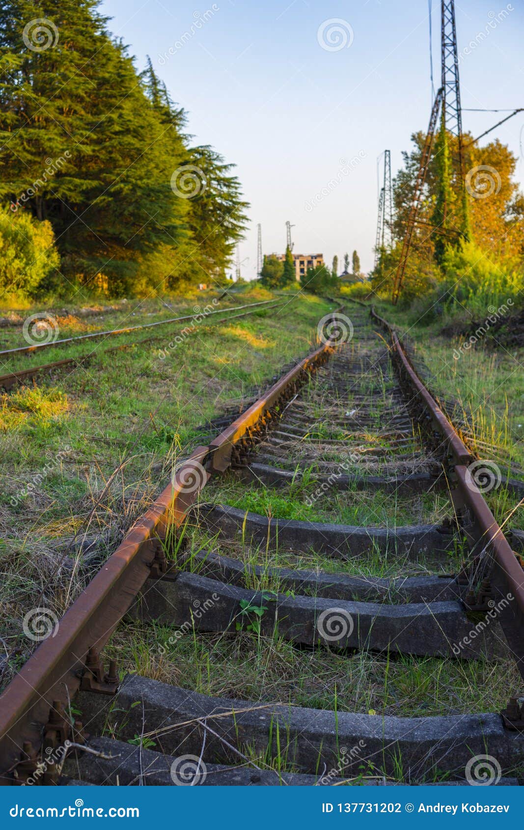 rusty rail rusty rail
