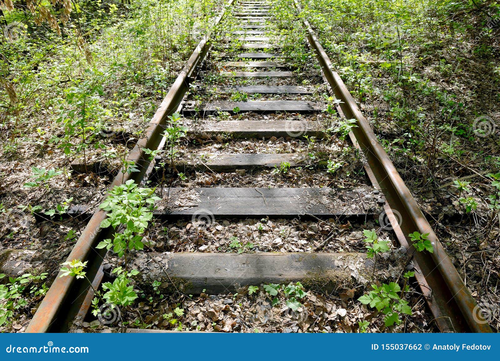 Rusty Rails: Abandoned Rail Photos