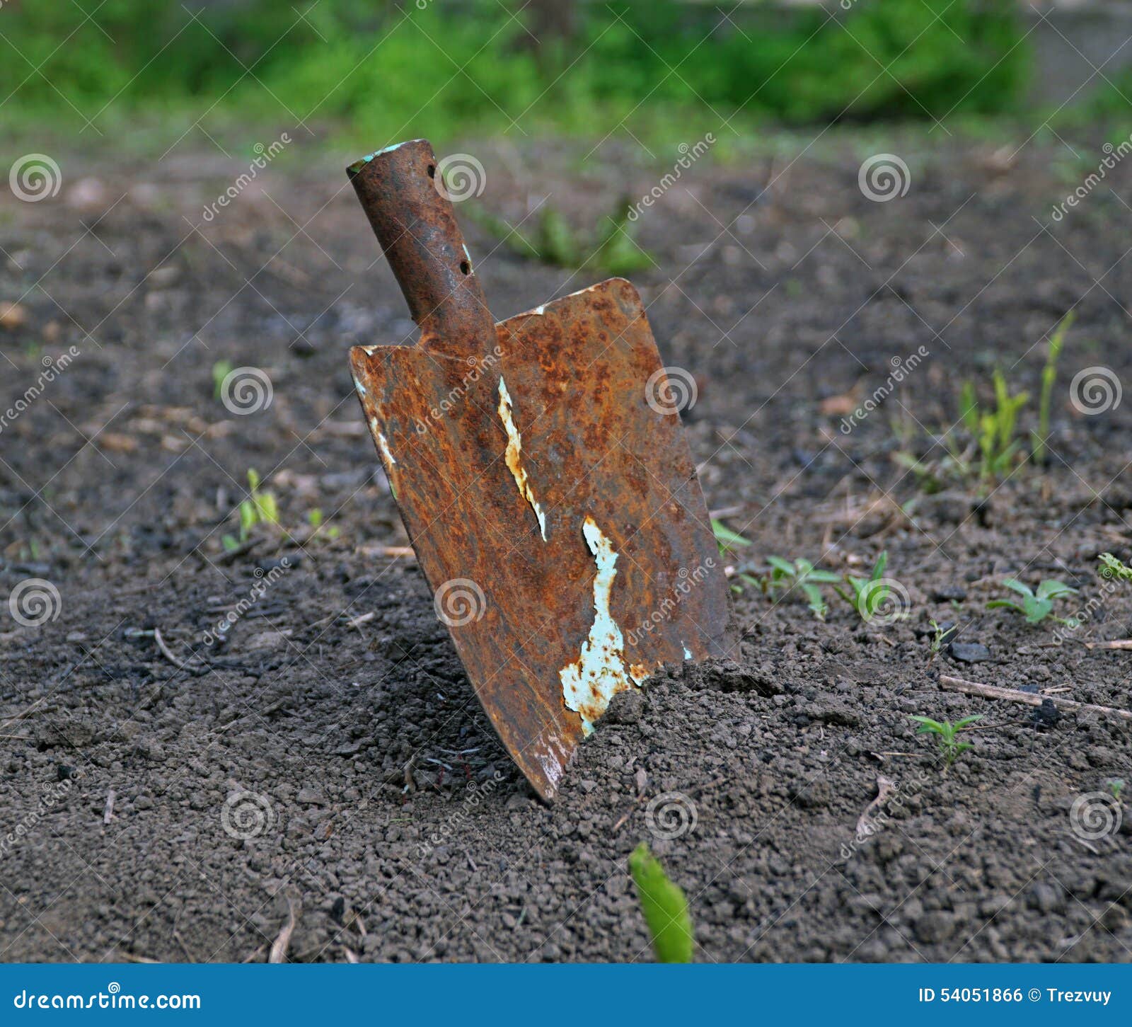 Old Rusty Shovel in the Ground Stock Photo Image of shovel