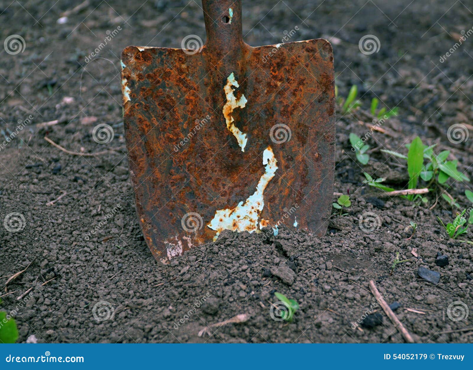 Old Rusty Shovel in the Ground Stock Image Image of outdoors, single