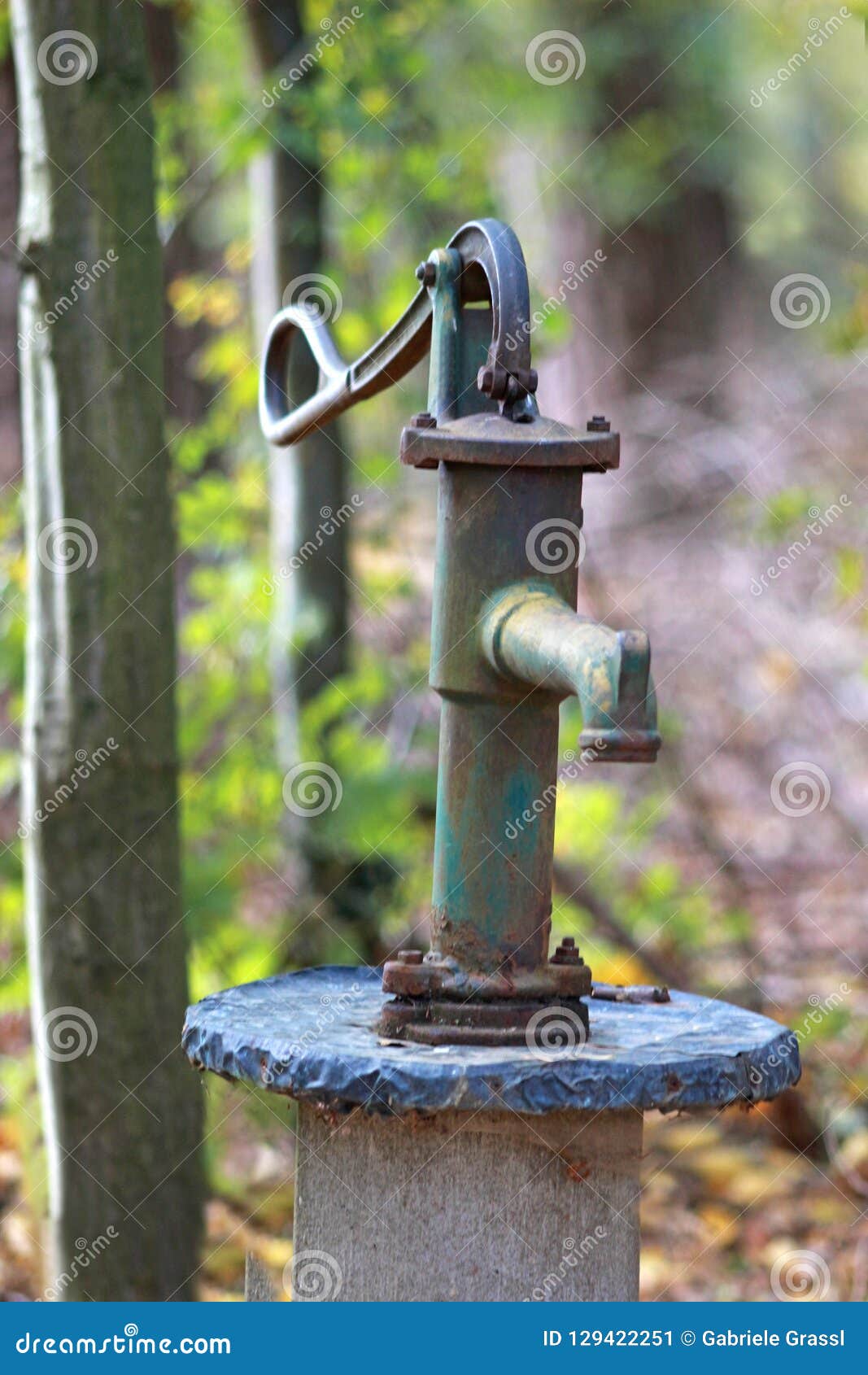 Old Rusty Water Pump in a Forest Stock Image Image of rusty, tree