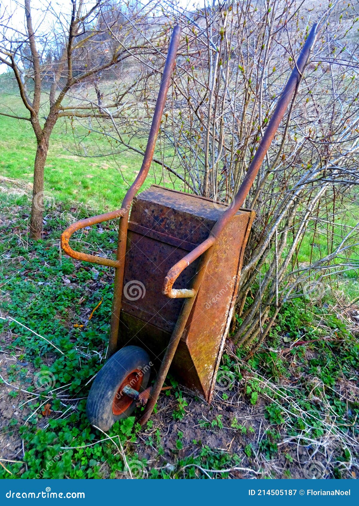 Old rusty wheelbarrow stock image. Image of green, backyard 214505187