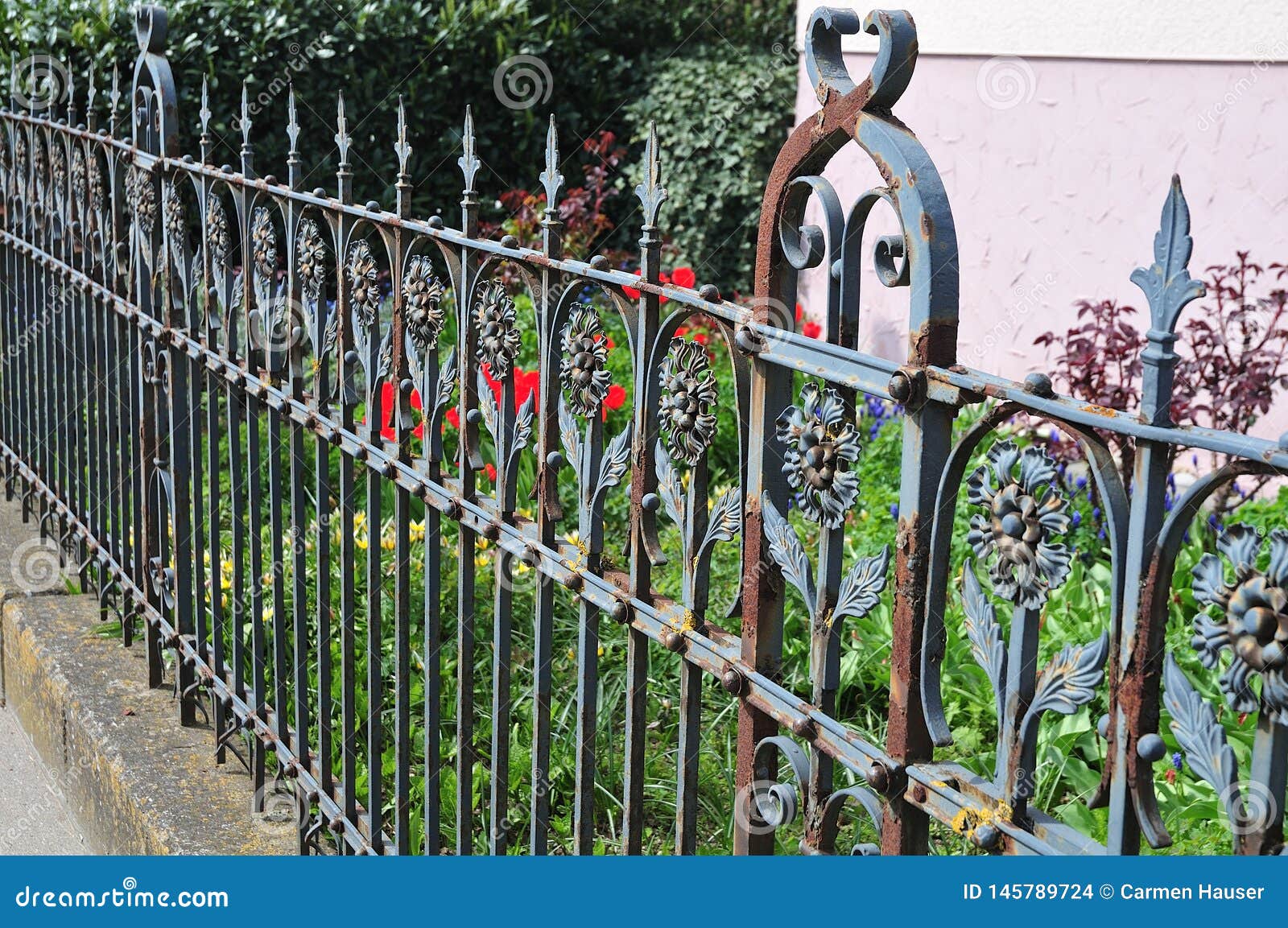 Old Rusty Wrought Iron Fence at a Garden Stock Photo - Image of metal ...