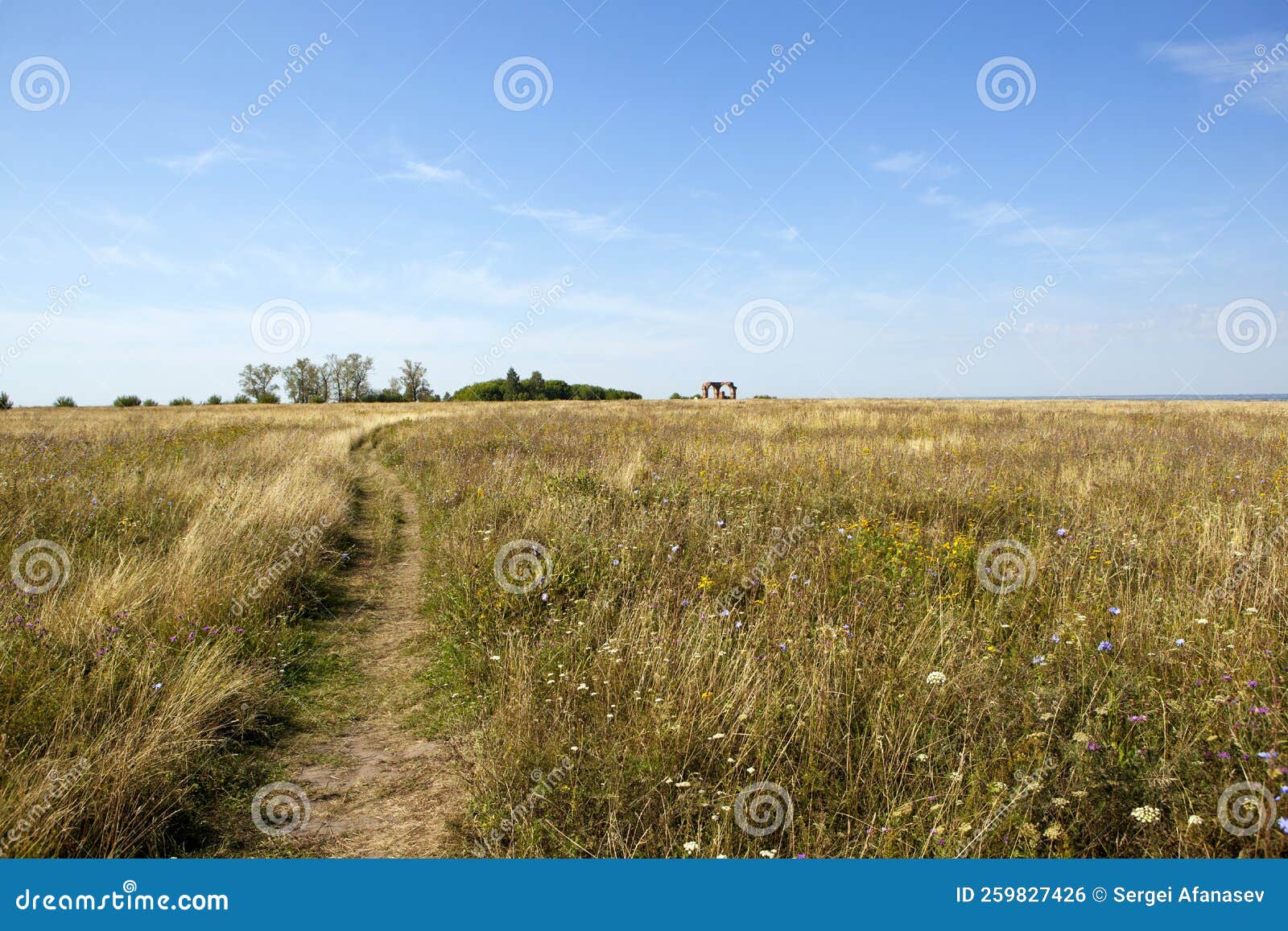 Path Among The Herbs To The Ruins Of The Church Of Boris And Gleb