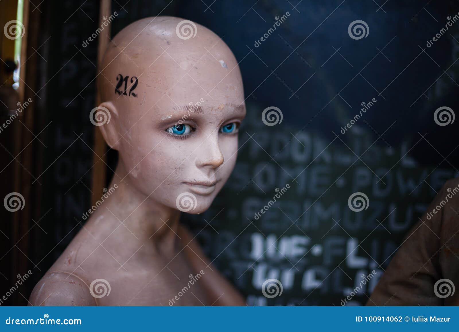 Female Dummy Scary Face, Partially Isolated Stock Photo, Picture and  Royalty Free Image. Image 16318378.