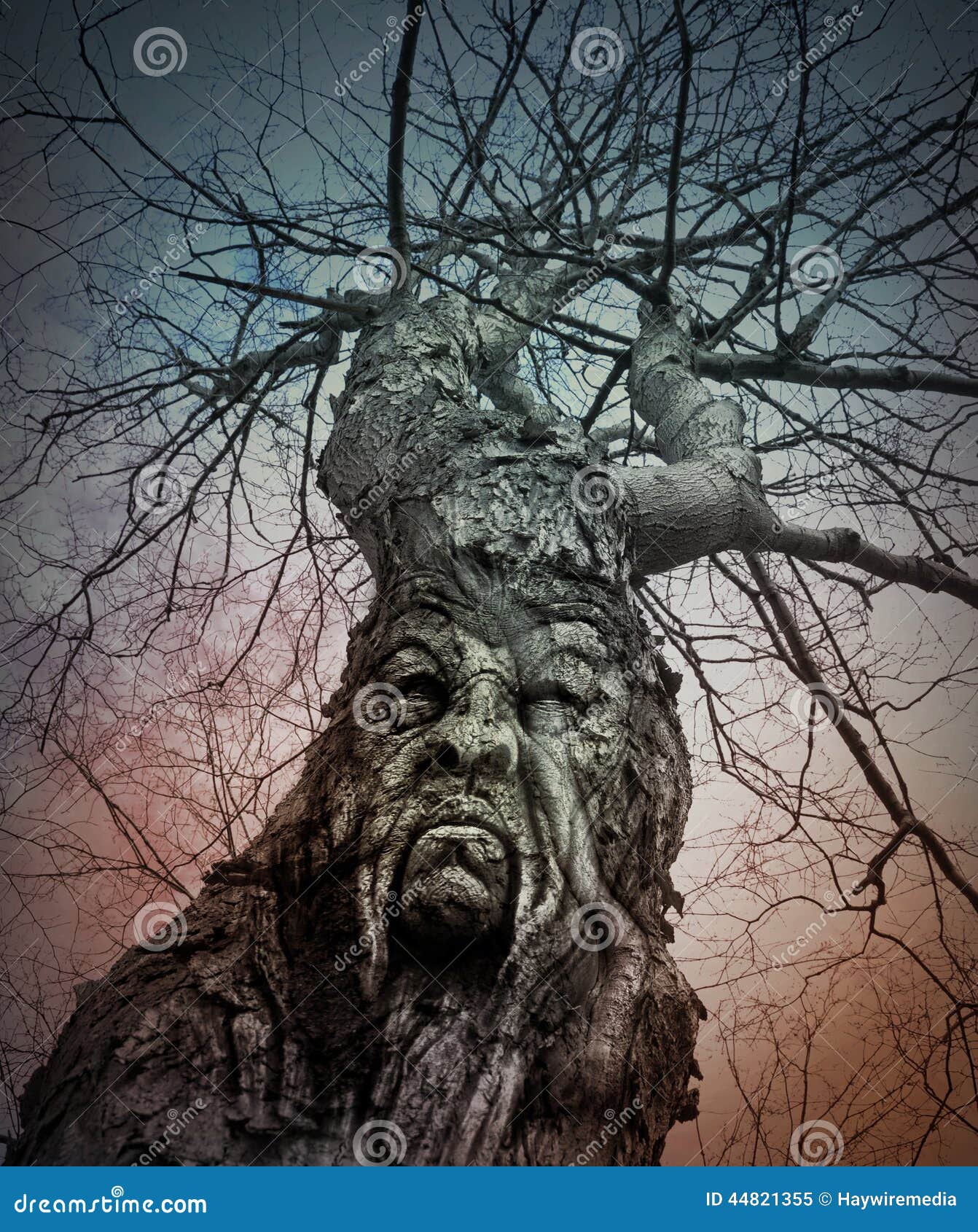 16,890 Old Scary Tree Stock Photos - Free & Royalty-Free Stock Photos from  Dreamstime
