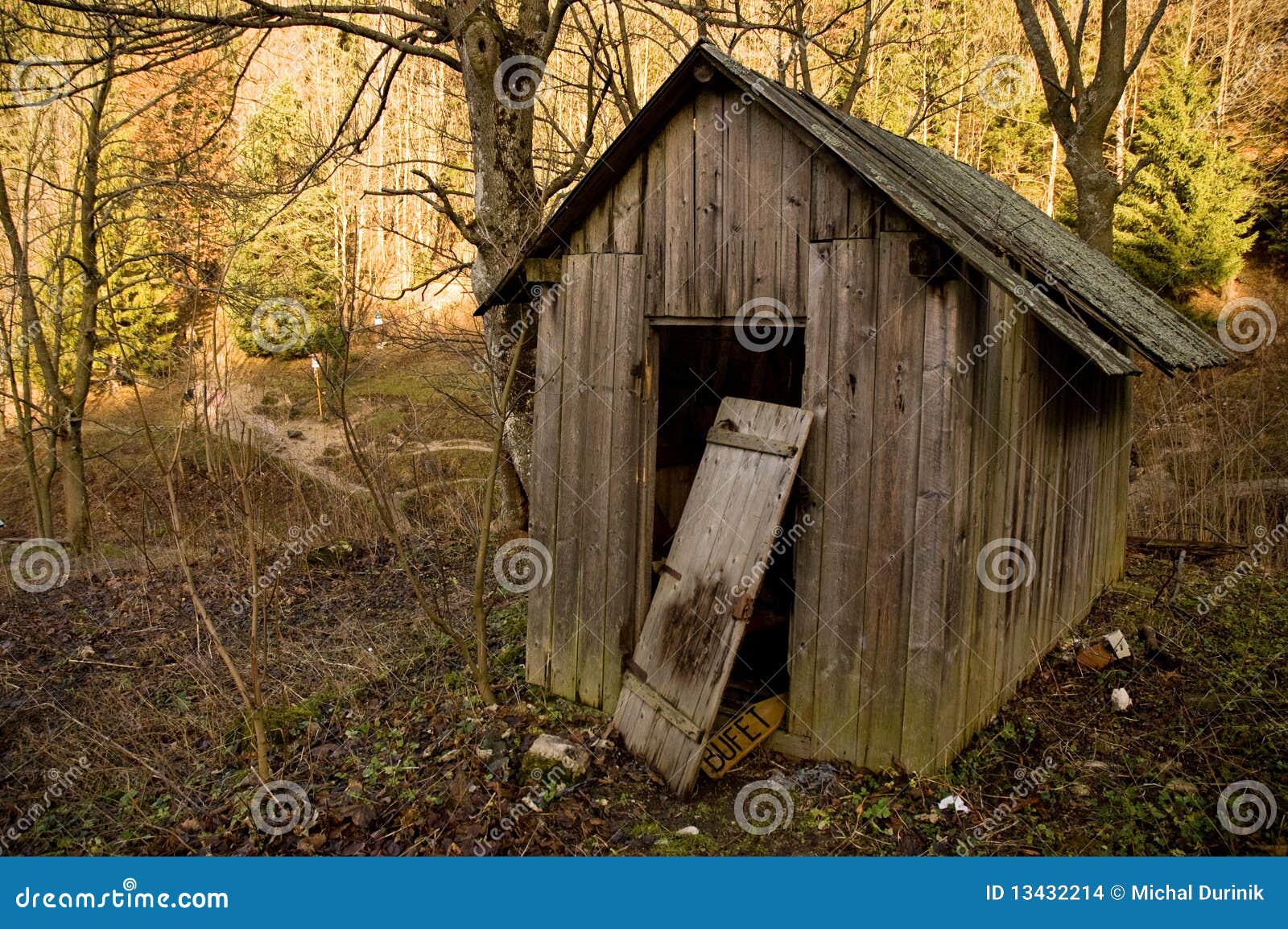 Old shed in forest stock photo. Image of blue, farm 