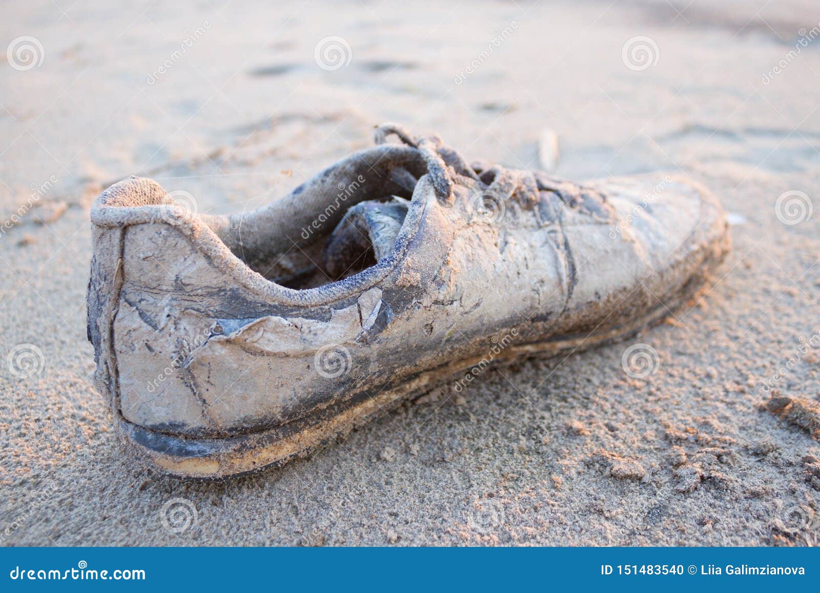 Old shoe on the beach stock photo. Image of hipster - 151483540