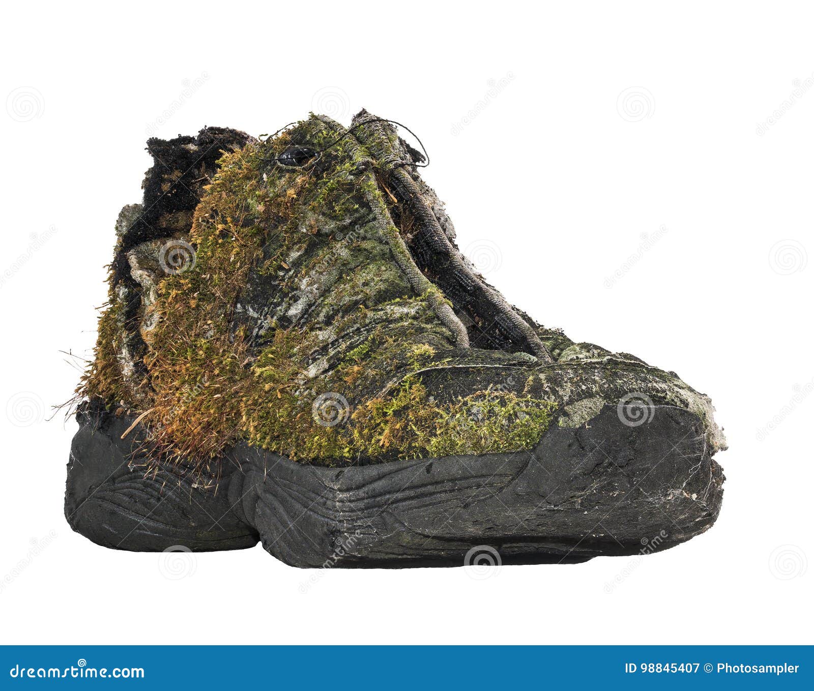 Old shoe covered with moss stock image. Image of covered 98845407
